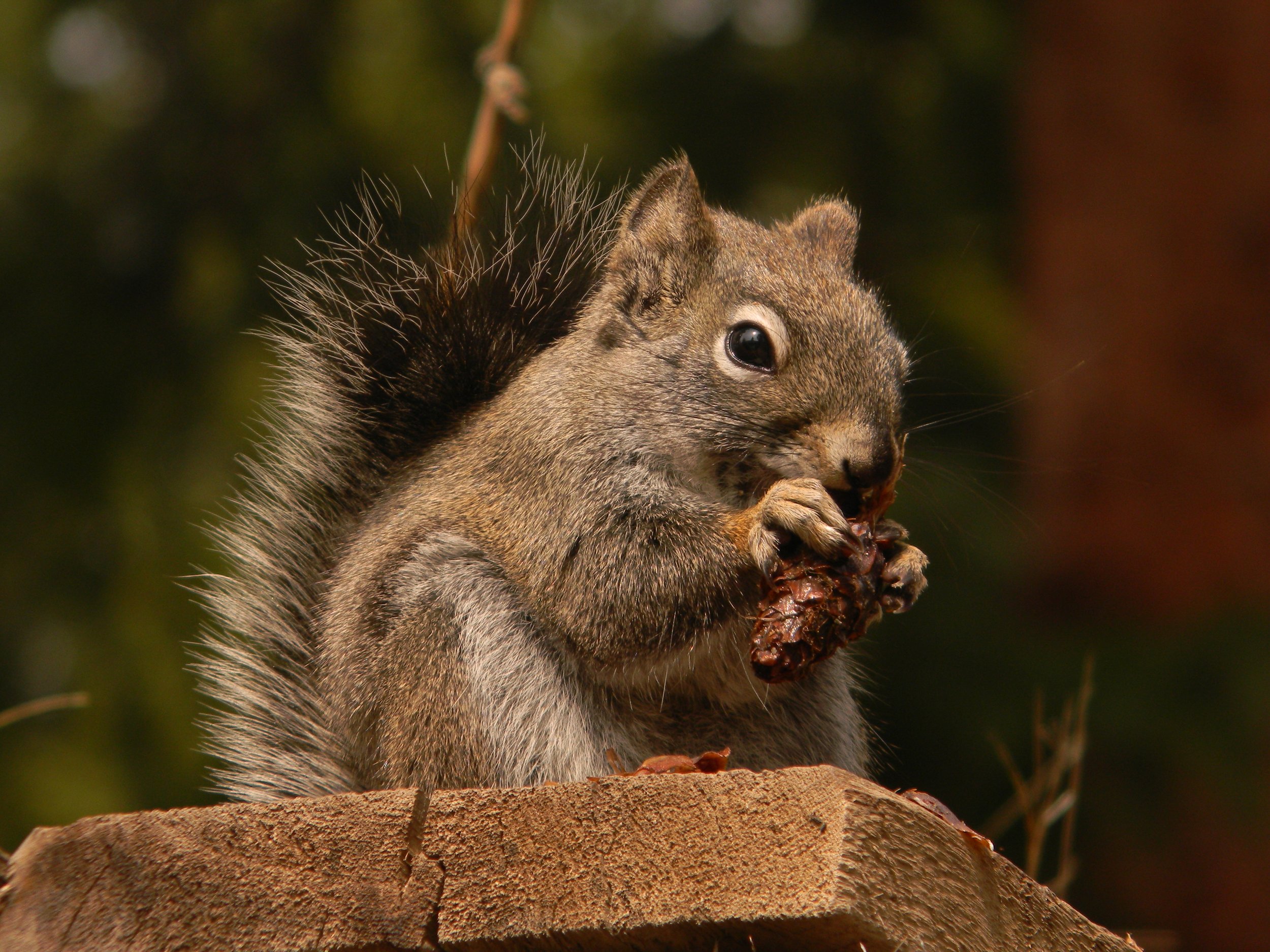 DSCN6067.JPG