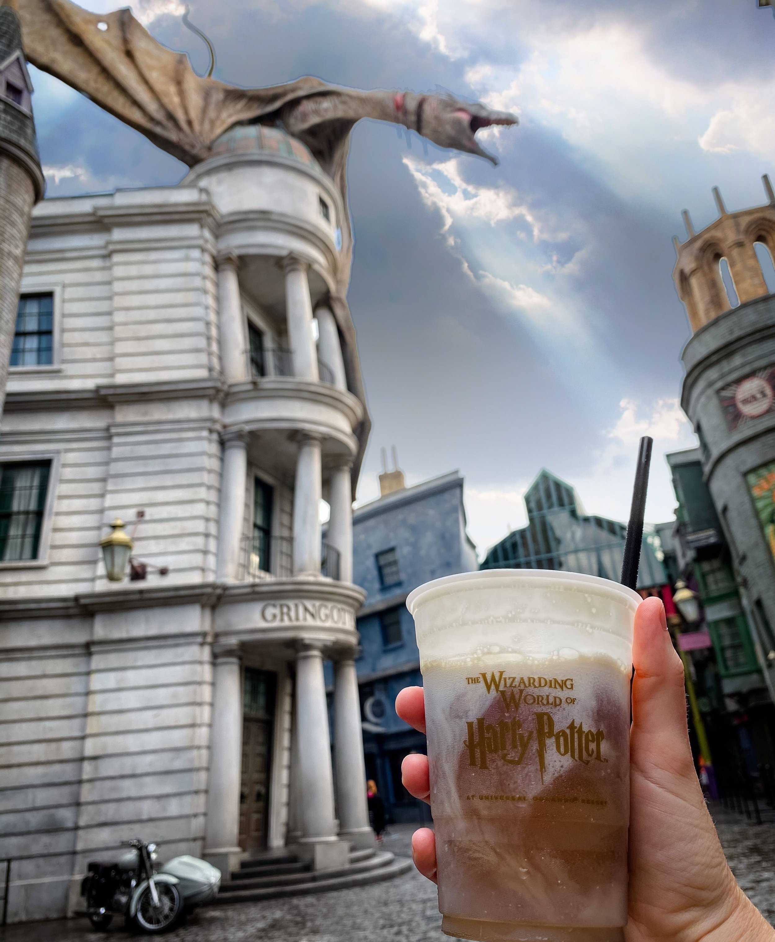 The Wizarding World of Harry Potter & Other Highlights of Universal Studios  — One More Step