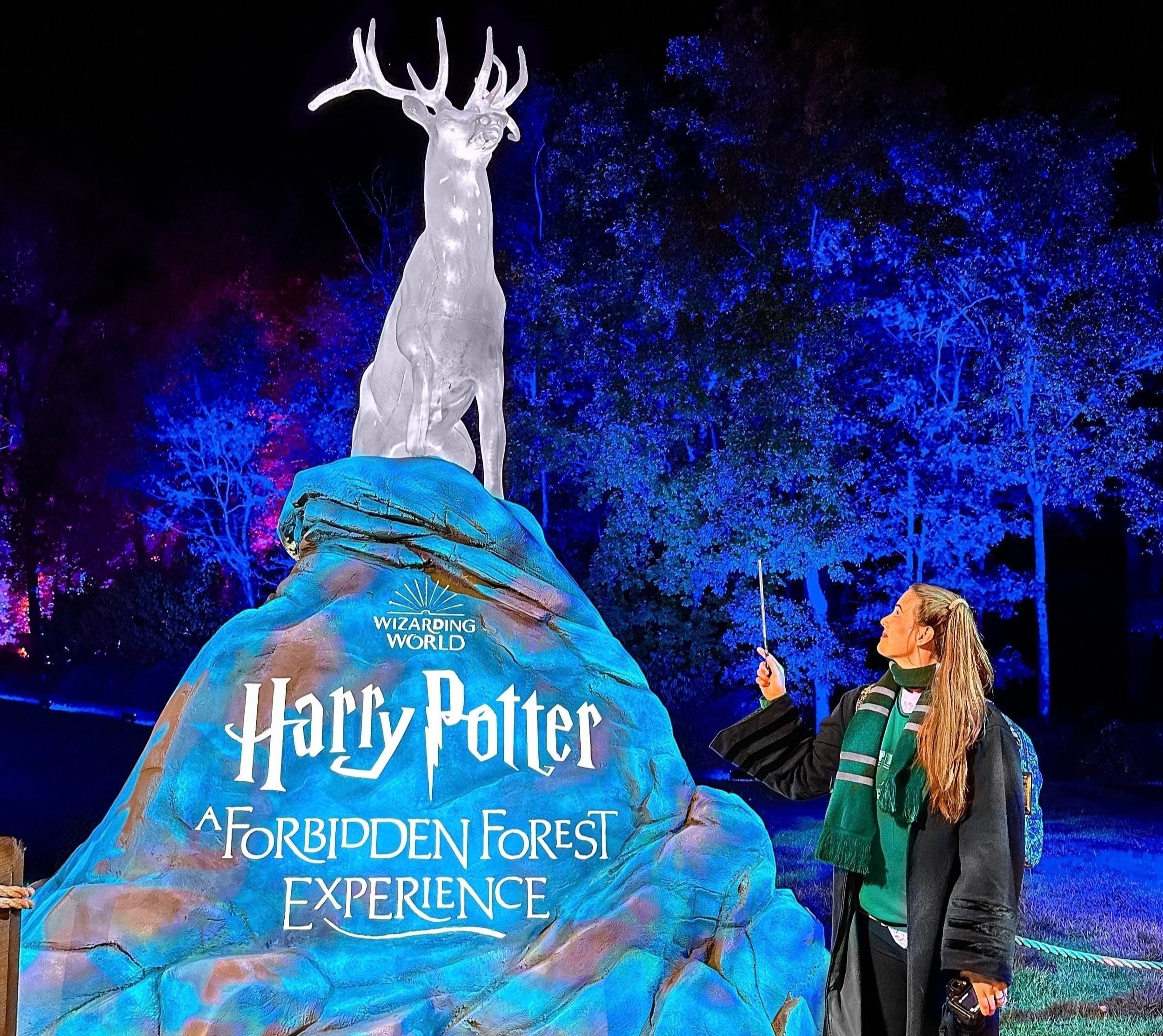 Lights Go On During 'Harry Potter and the Forbidden Journey' Ride, Videos  Show