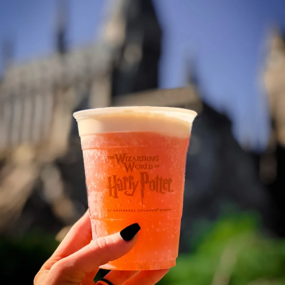 2023 Complete Guide to Butterbeer in The Wizarding World of Harry