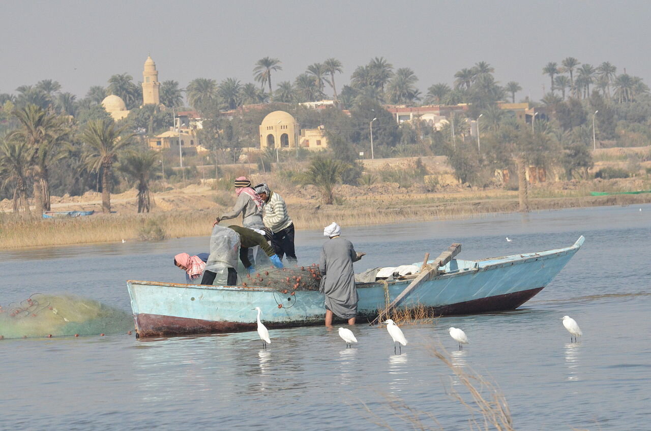 1280px-Tunis_village_-Fayoum_by_Hatem_Moushir_8.jpeg