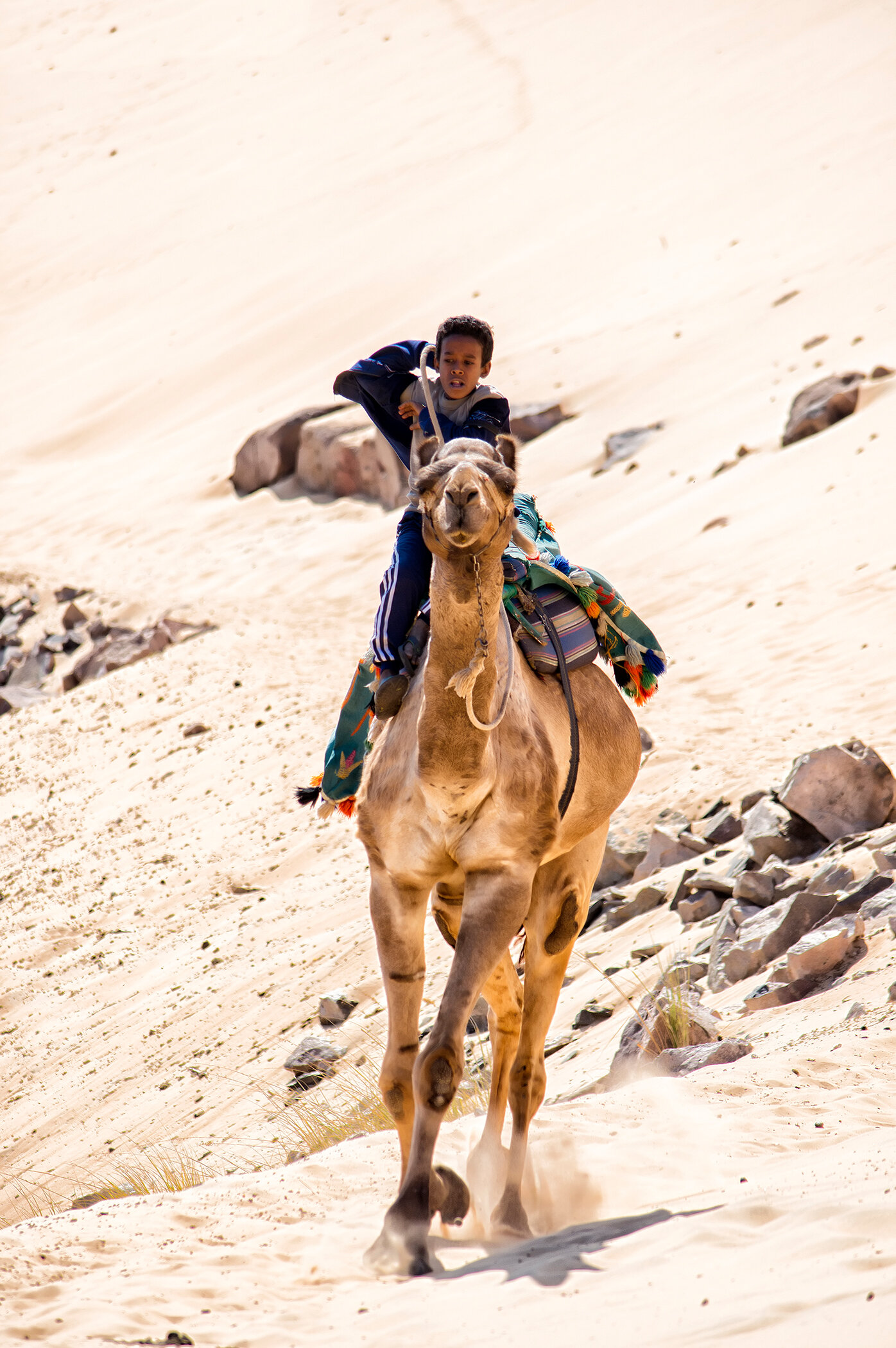 Egypt_aswan.jpeg