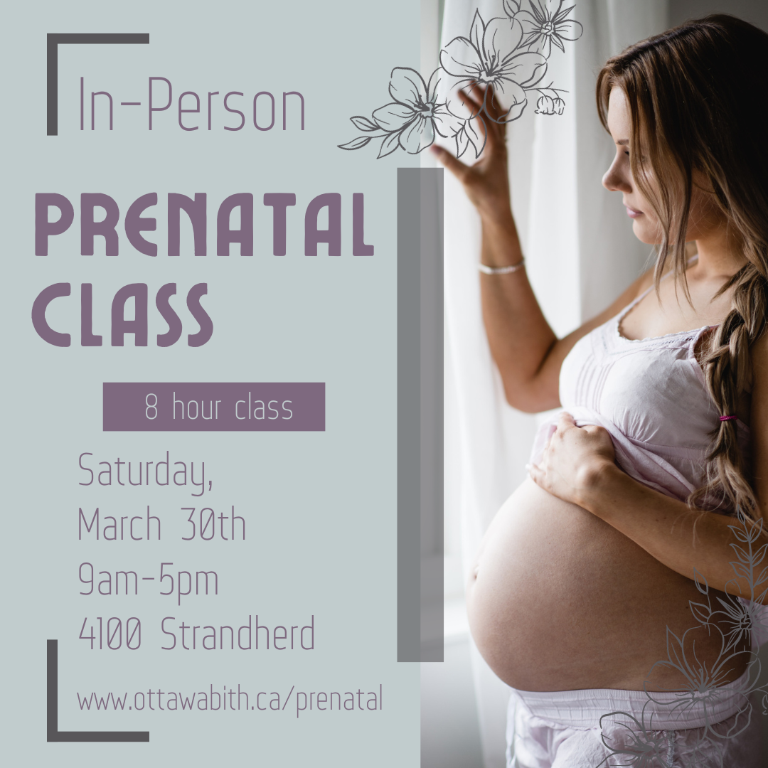 In Person Prenatal Classes in Ottawa — Ottawa Birth- Doula Support