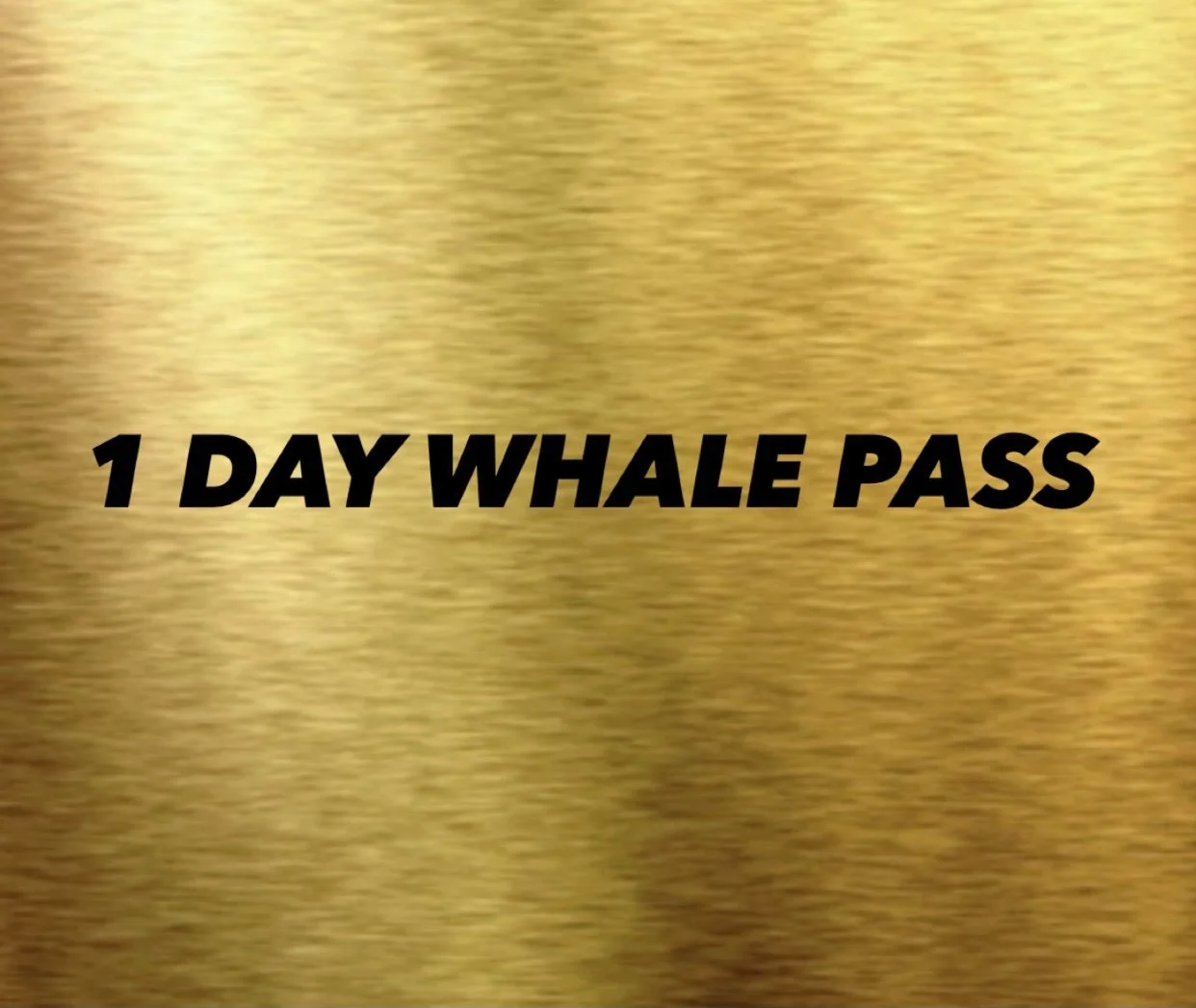 1 DAY WHALE PASS