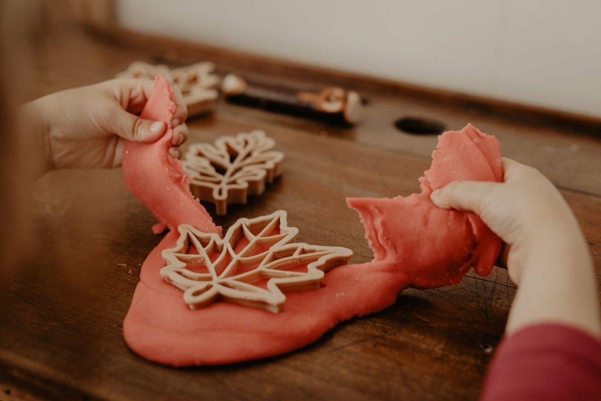 Leaf Eco Playdough Cutter Set