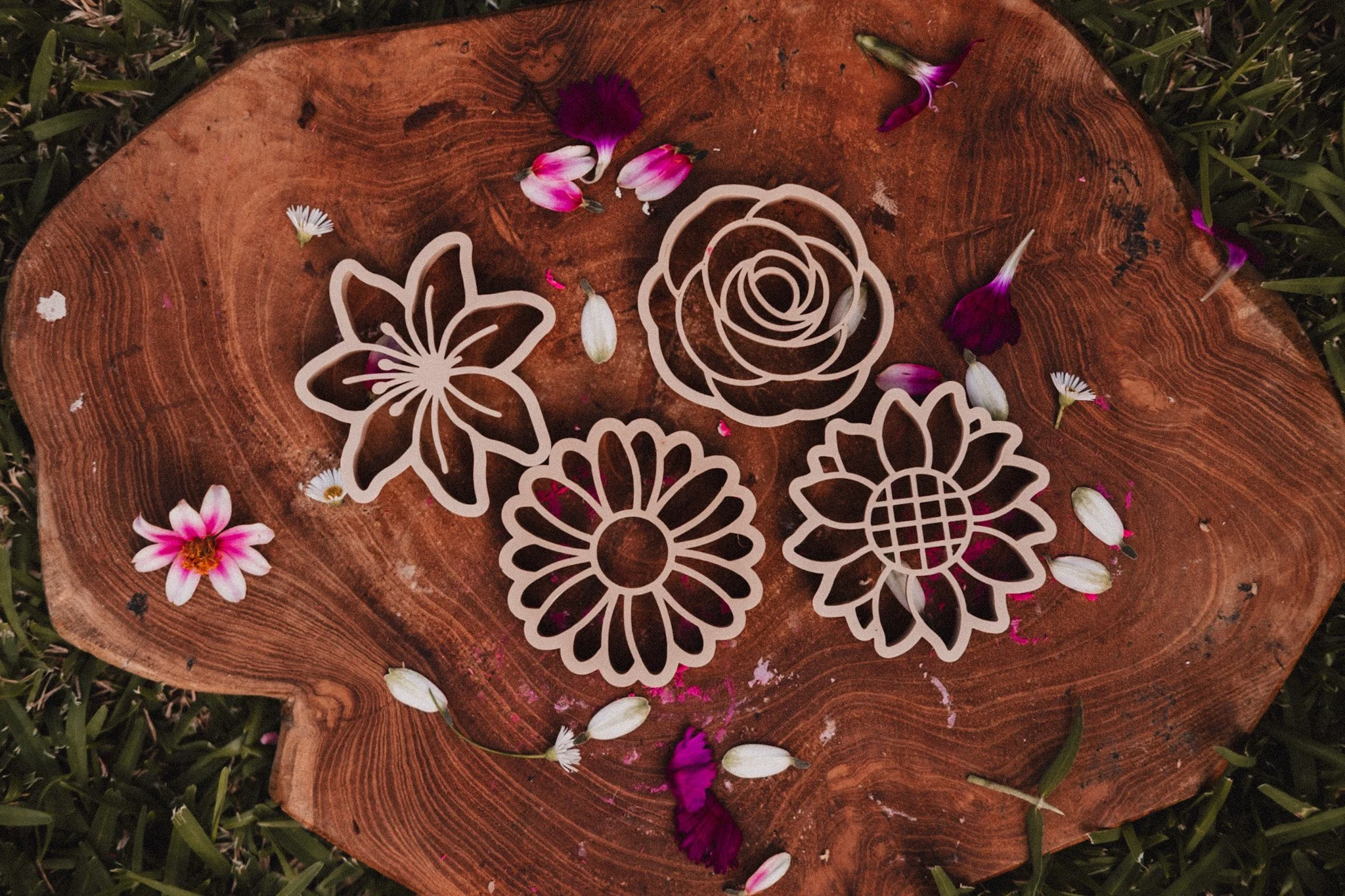 Mixed Flower Eco Cutter Set