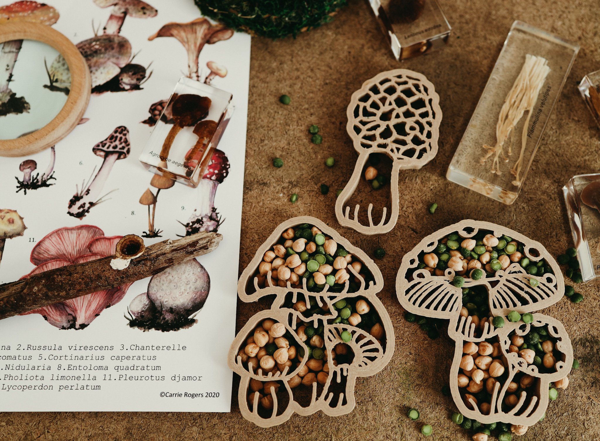Mushroom play dough cutter eco
