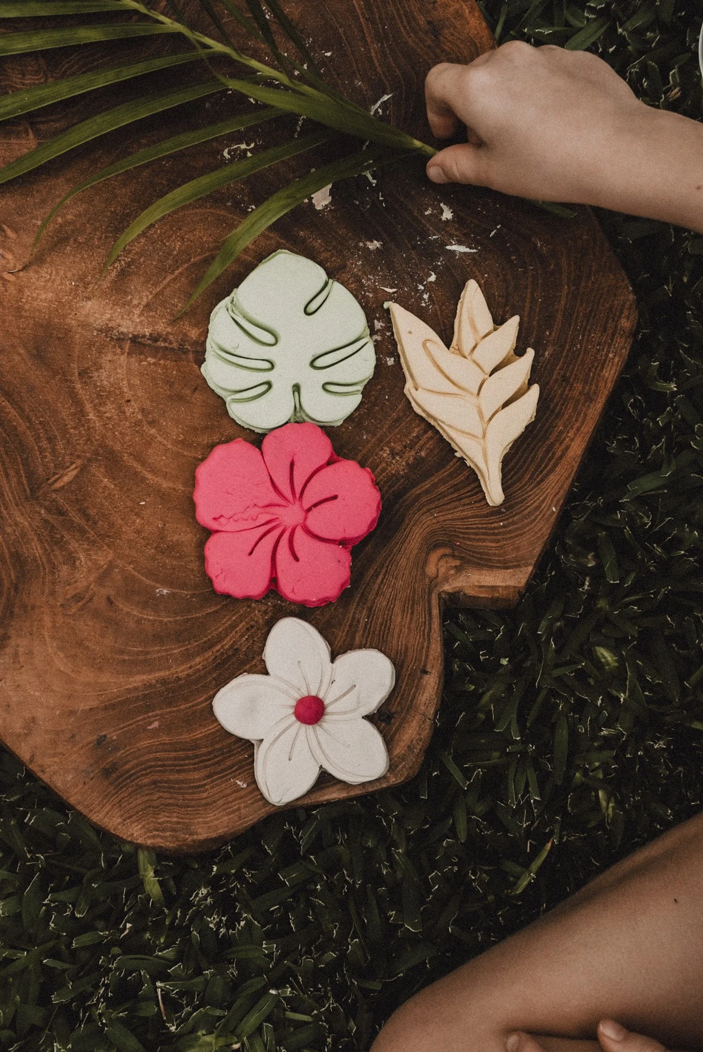 Tropical flower playdough cutters