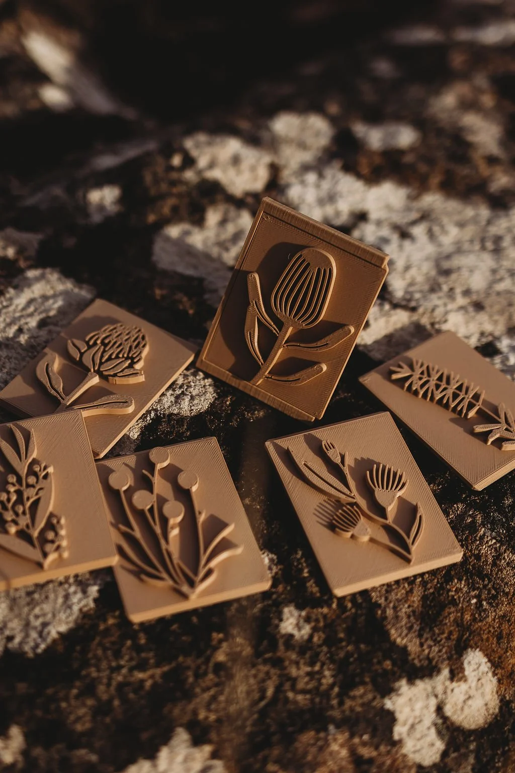 Native Australian plant playdough stamps