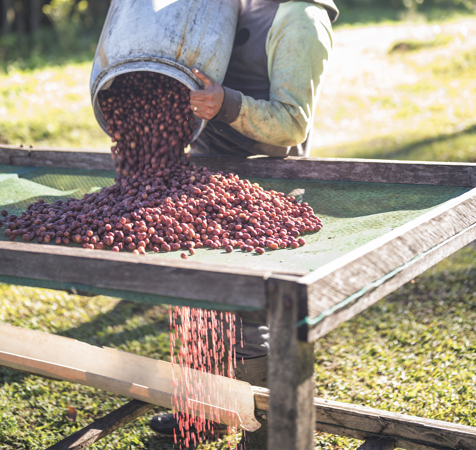 Screenshot 2025-12-31 at 3.16.03 PM.png