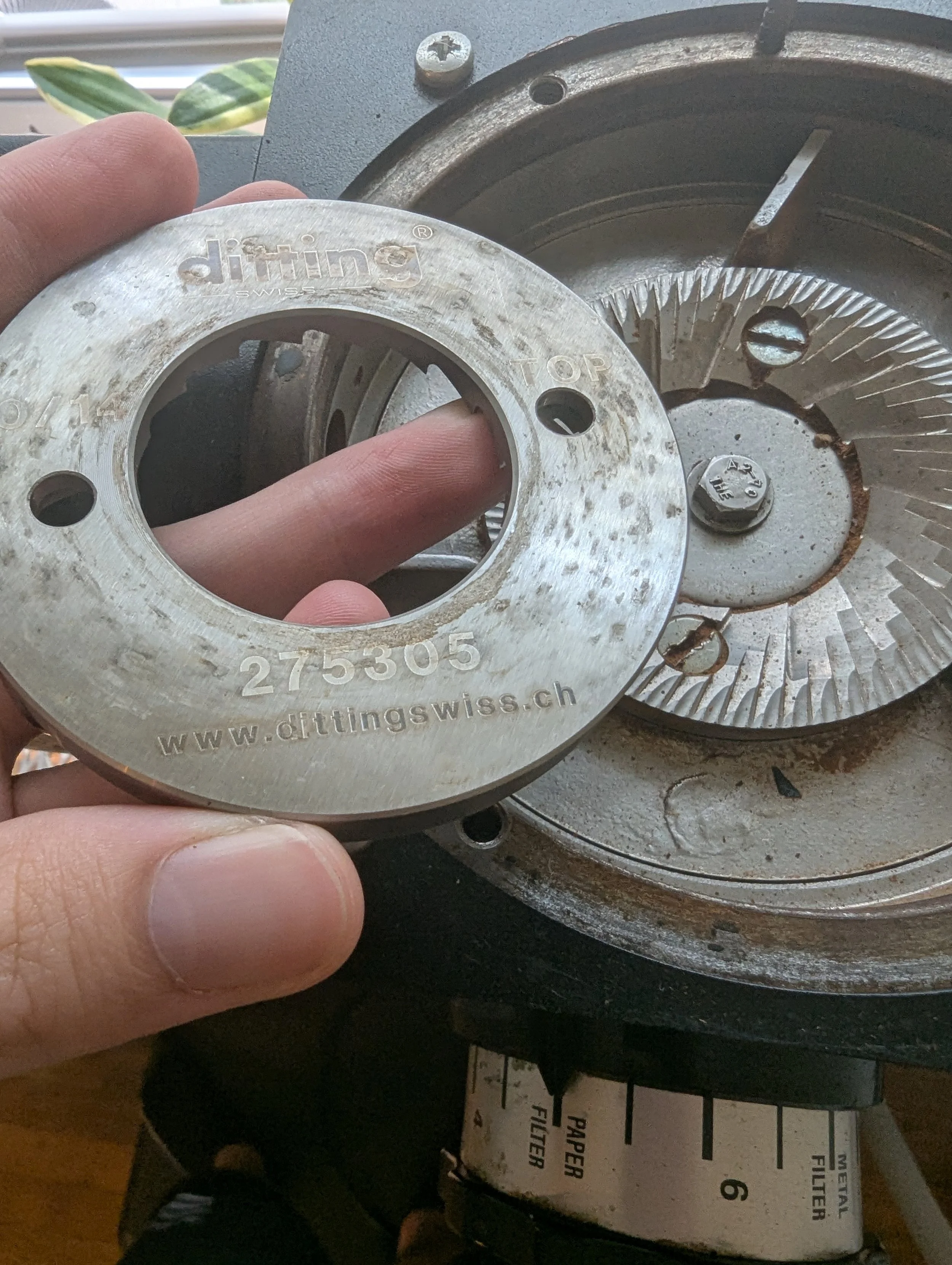 SBUX version from sMackMcFall