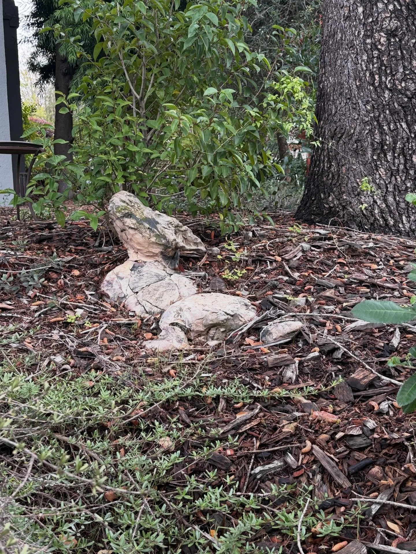 A walk around the block. #oakland #streetphotography