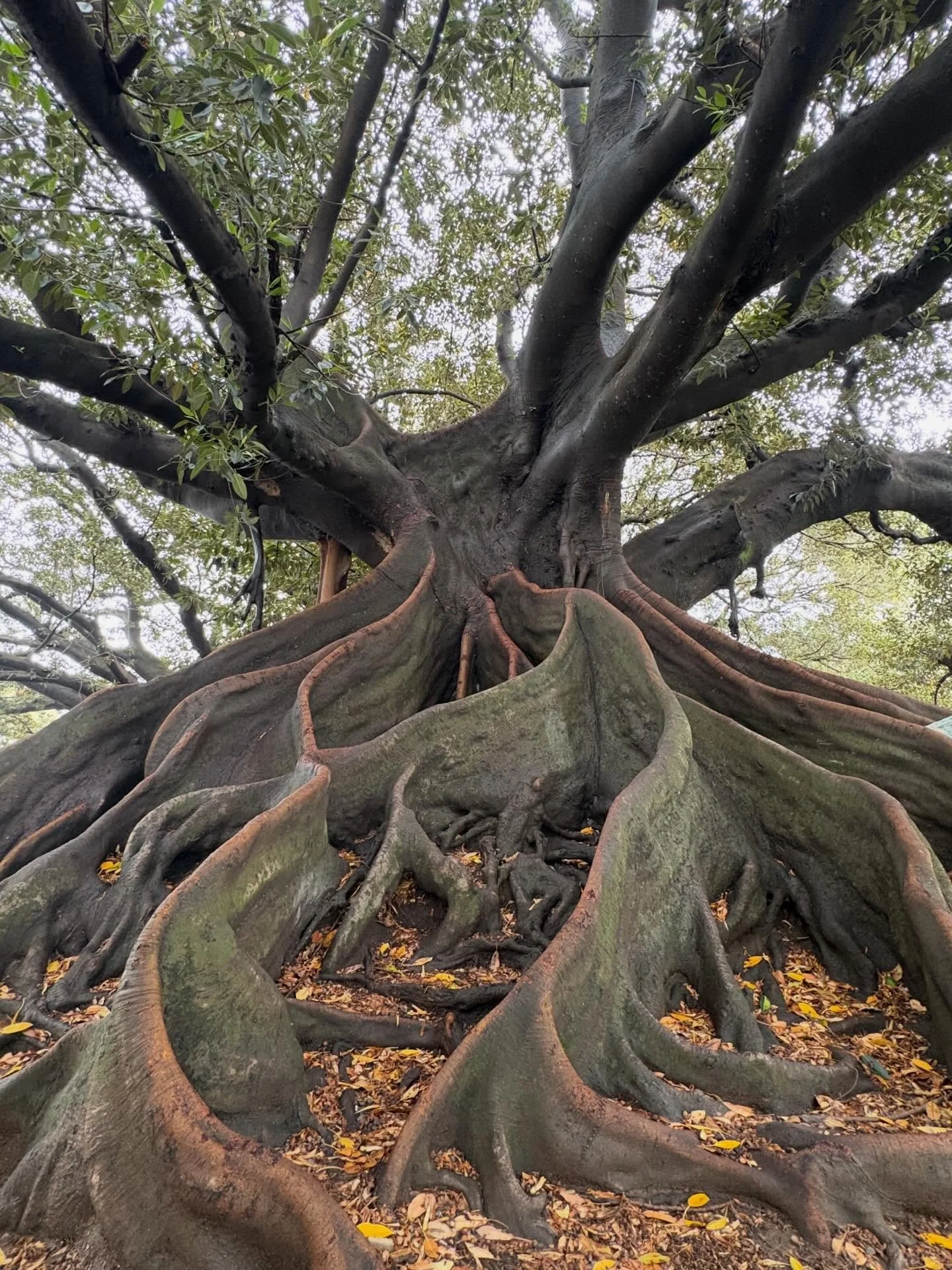 A few photos from Buenos Aires. #Argentinetango
