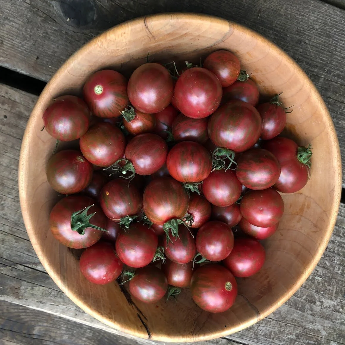 Tomato 'Purple Bumblebee'