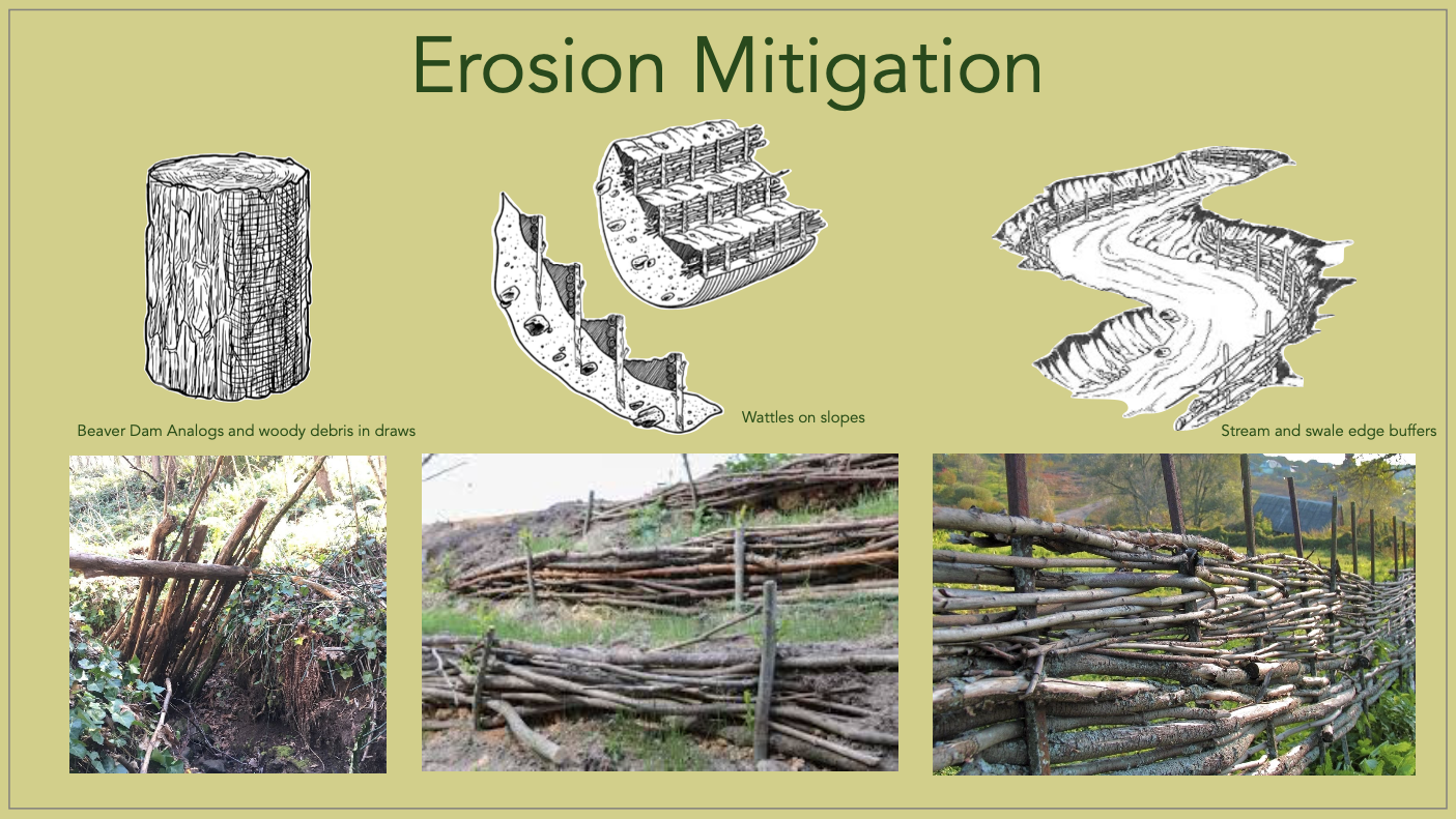 Erosion_mitigation_slide_ResilienceDesign.png
