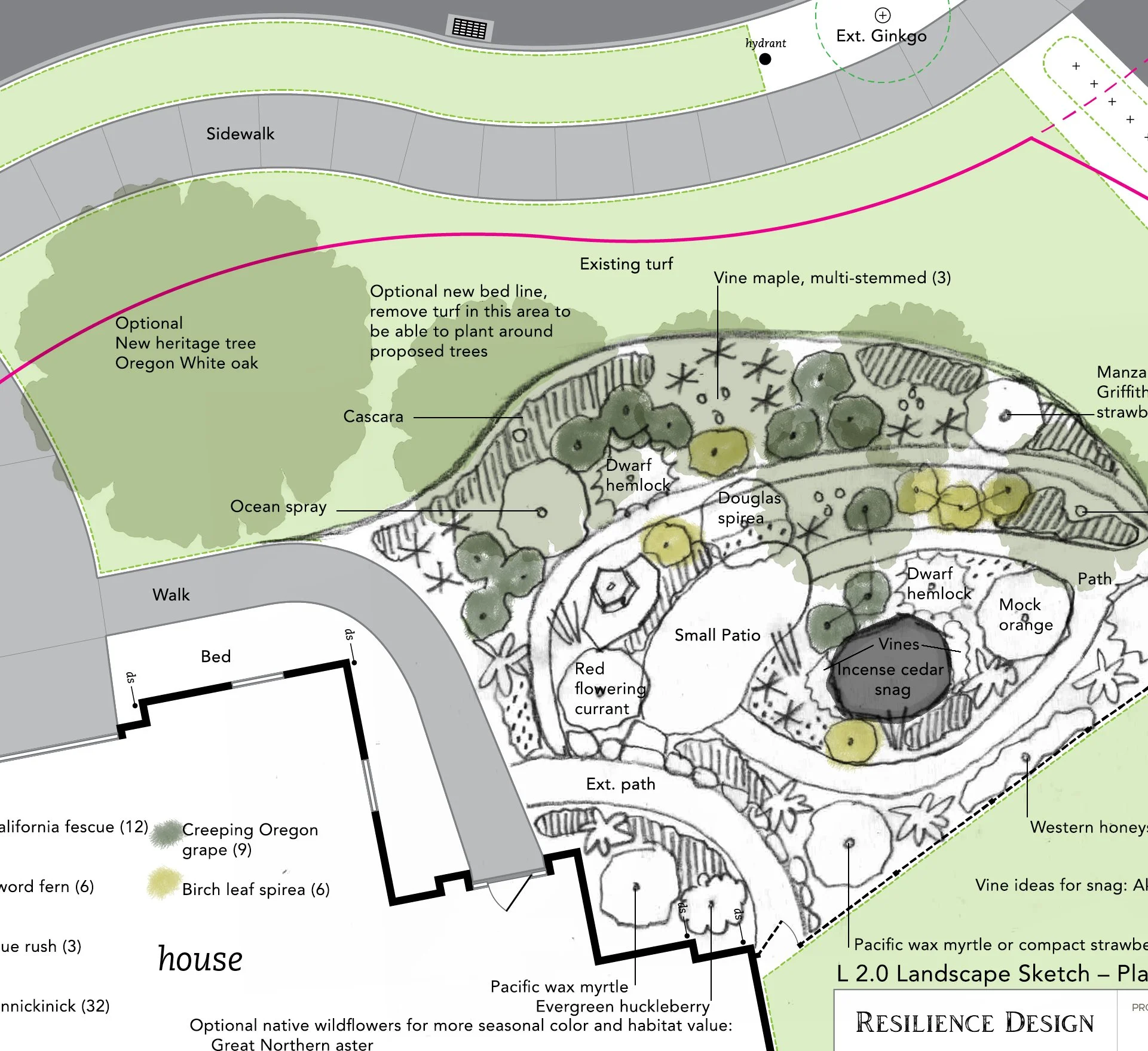 Stevens_Landscape_Sketch _FY_Plantings_2023_Opt A_web.jpg
