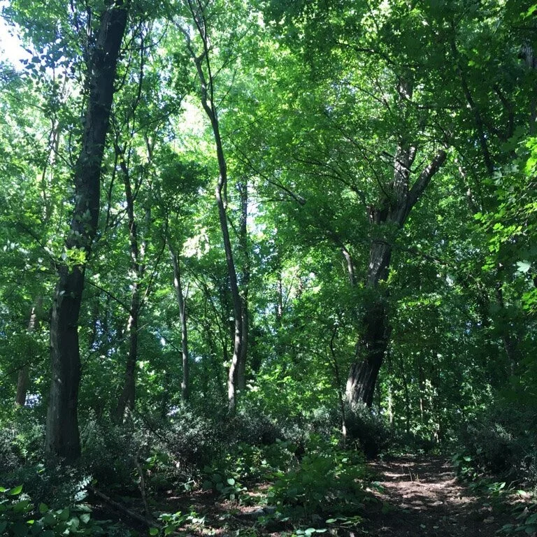 I'm Excited About Food Systems, Ecosystems and Agriculture