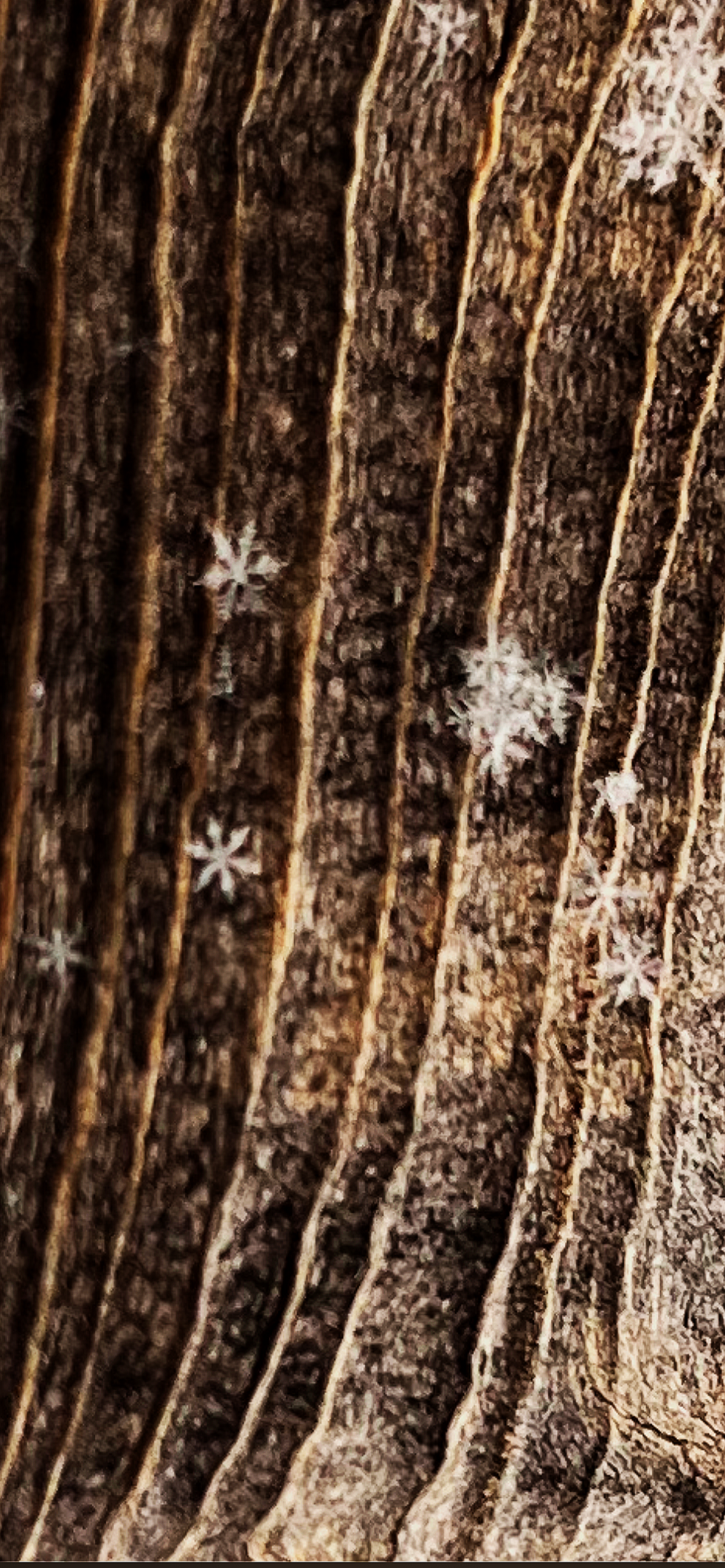 Tavataak is an acupuncture and traditional Chinese medicine clinic with ancient roots.   We offer a comprehensive and holistic approach to healing through acupuncture, cupping, and herbal remedies.