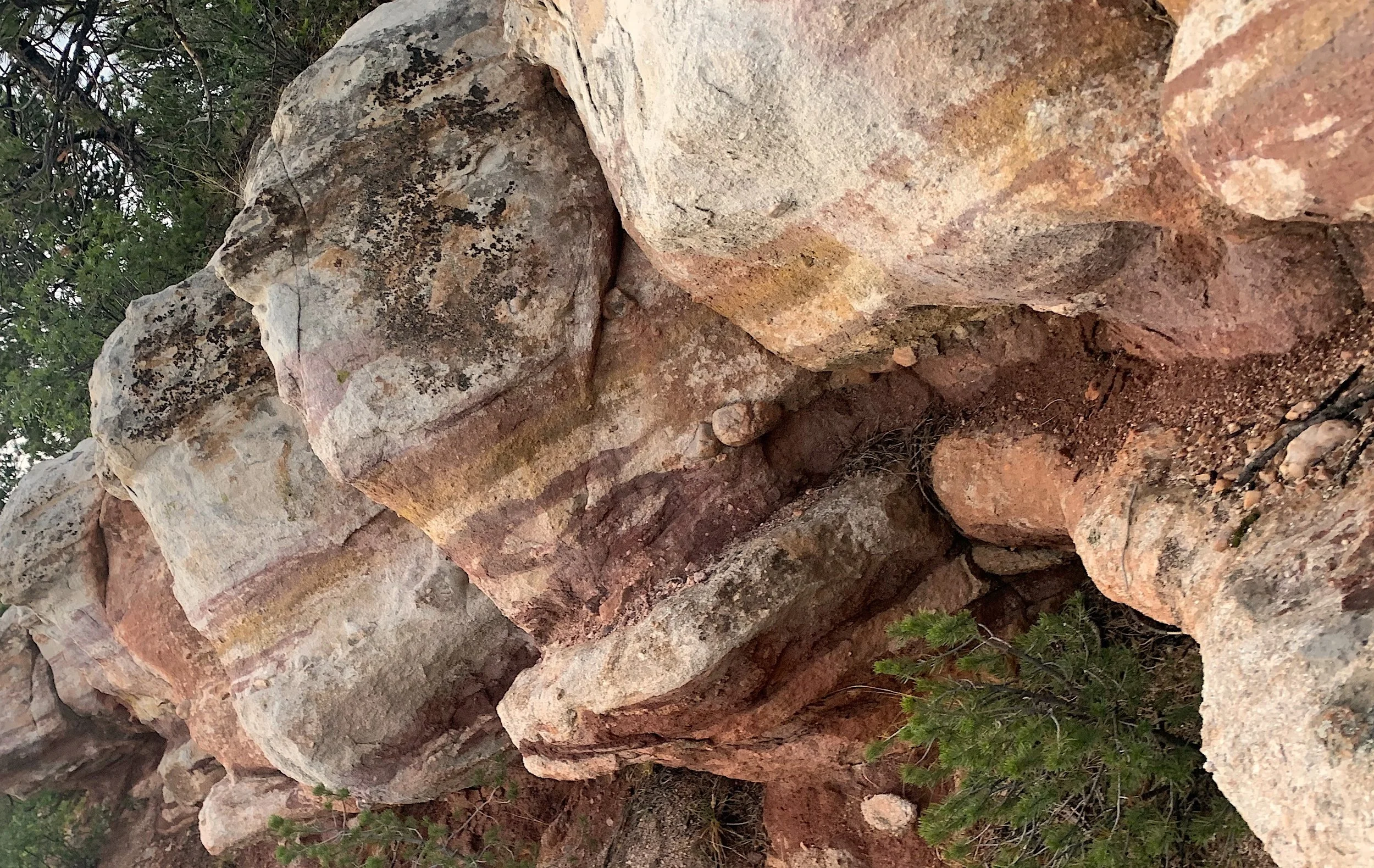 Colorado Springs Acupuncturist Kyndl Mueller Tavataak Acupuncture