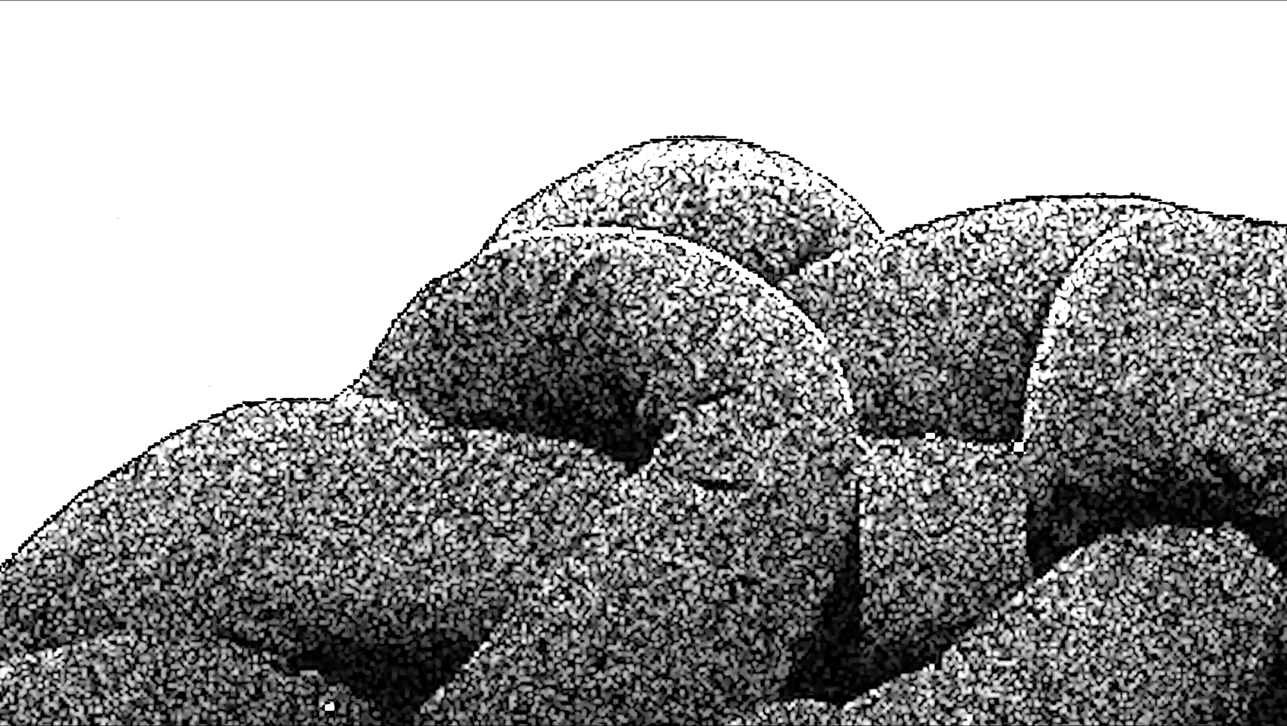 31.png