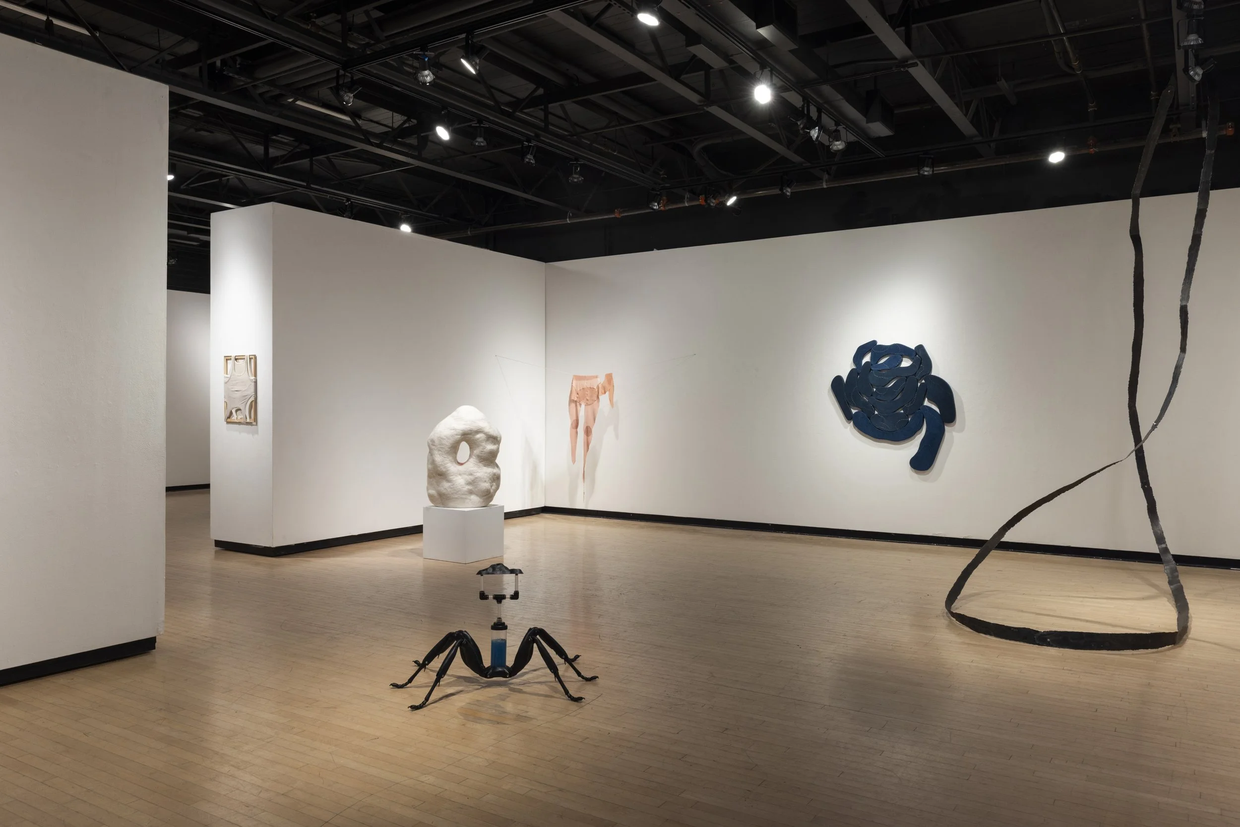 installation shot, GLAMFA, 2025