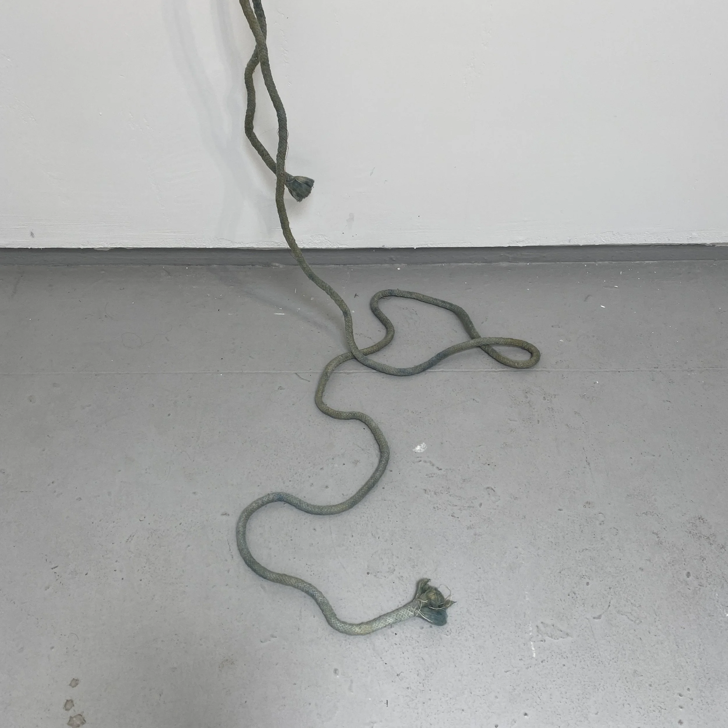 Berger_Liz_detail01_outfromunder_2024.JPG