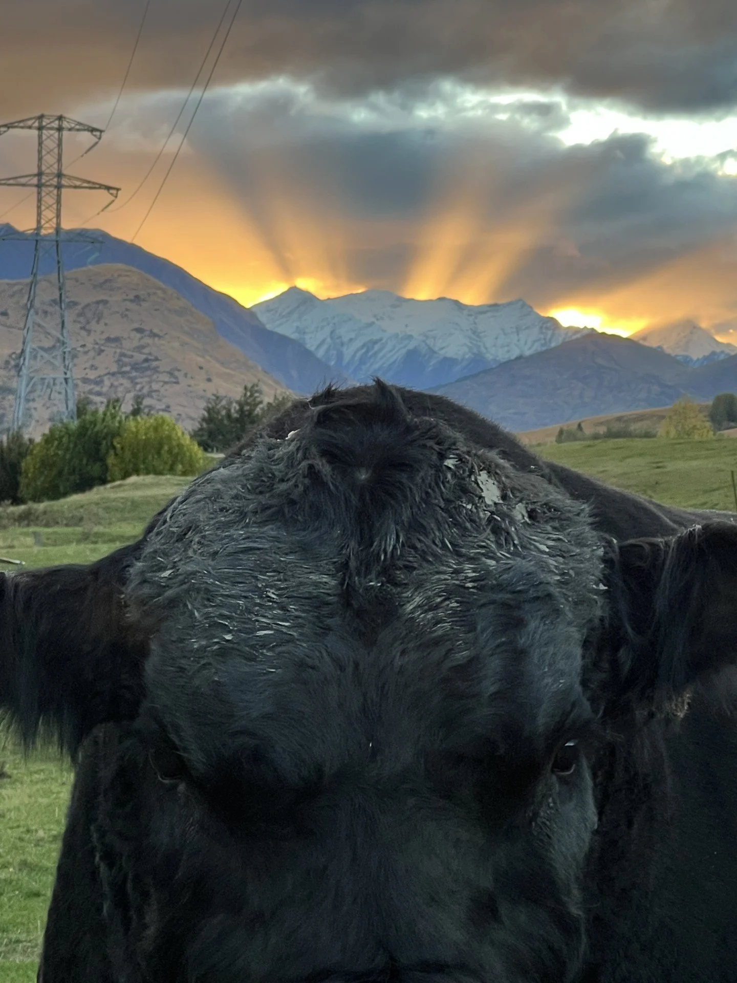 Kingdom and sunset.jpg