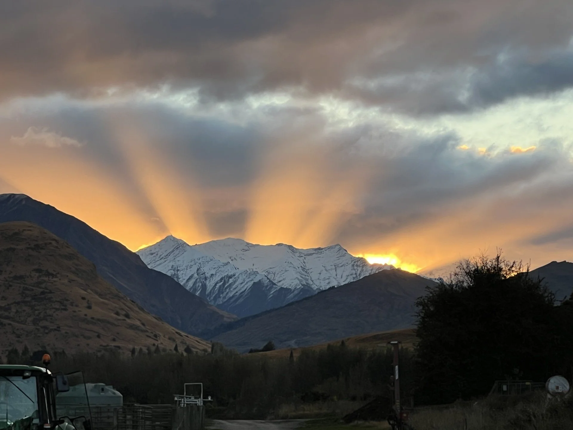 Cattle yard sunset.jpg