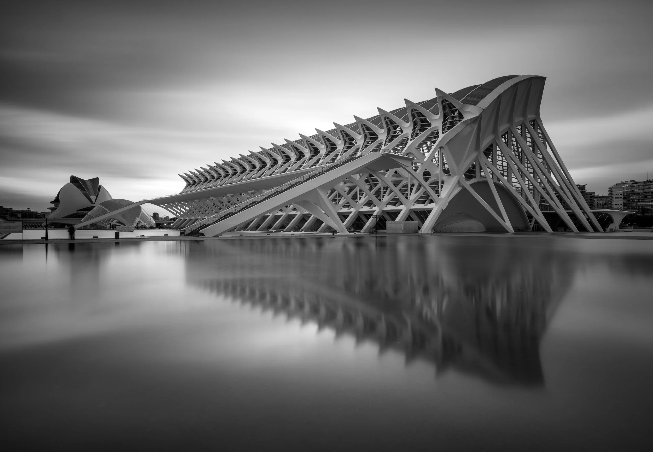Museu de les Ciències, Valencia