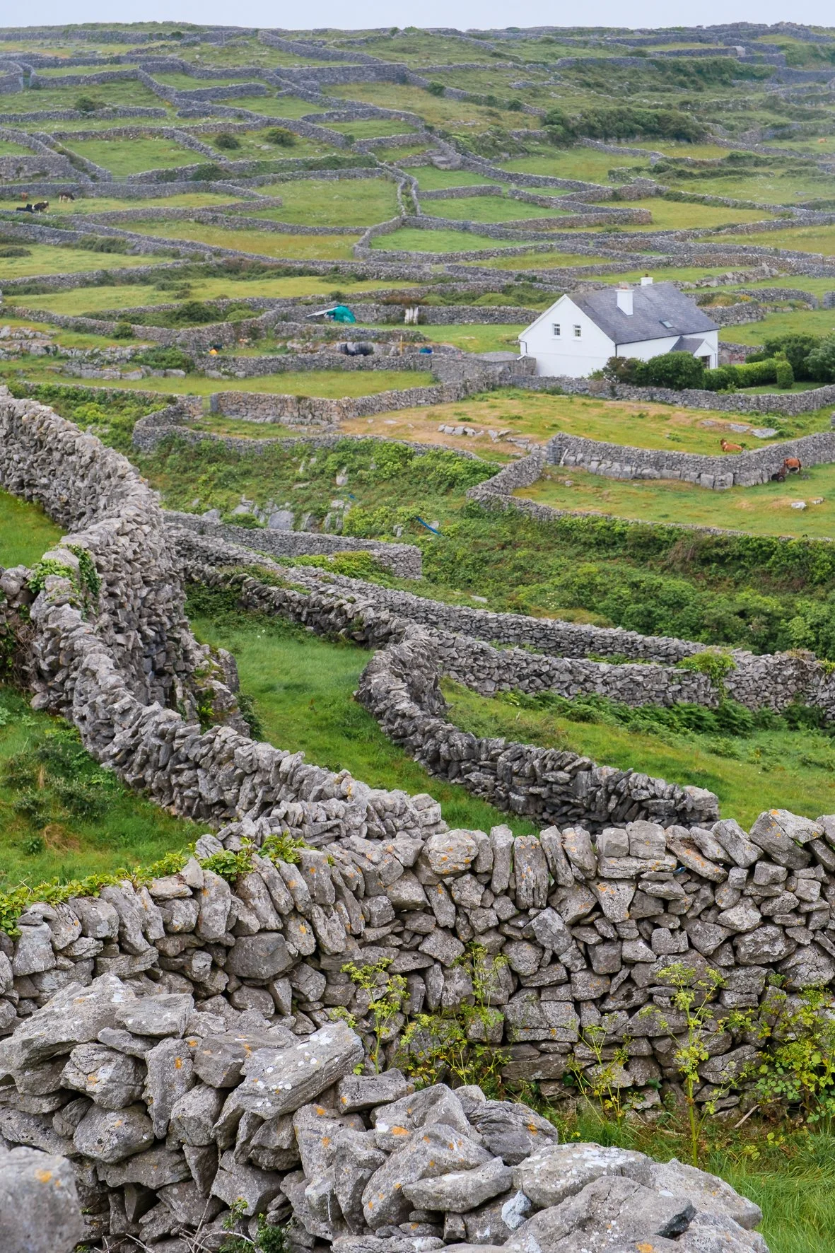 Inisheer views 23.jpg