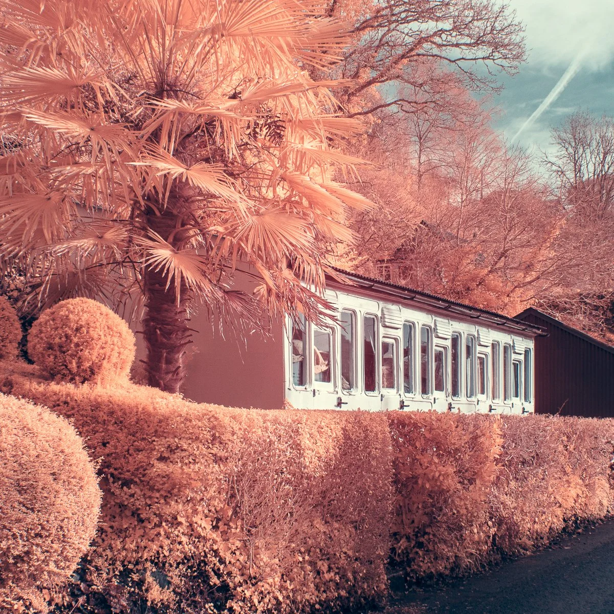 Colour channel swap 590nm IR image taken in Calstock