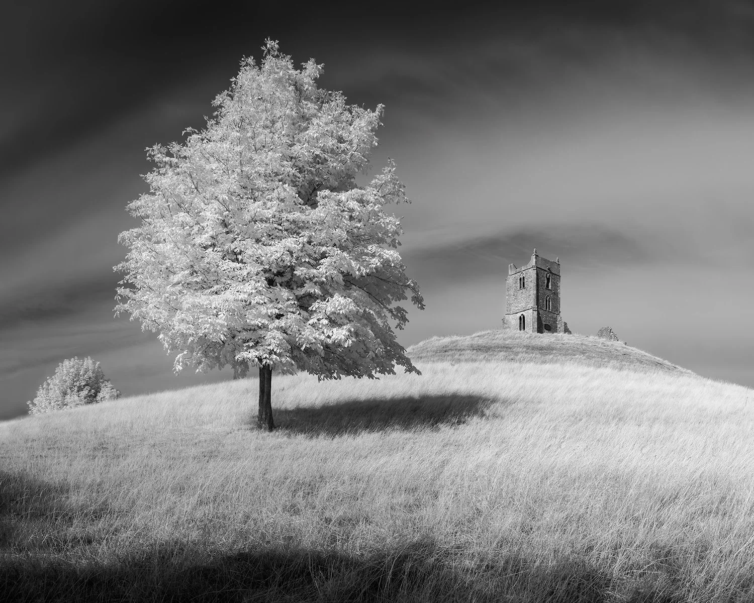 Burrow Mump.jpg