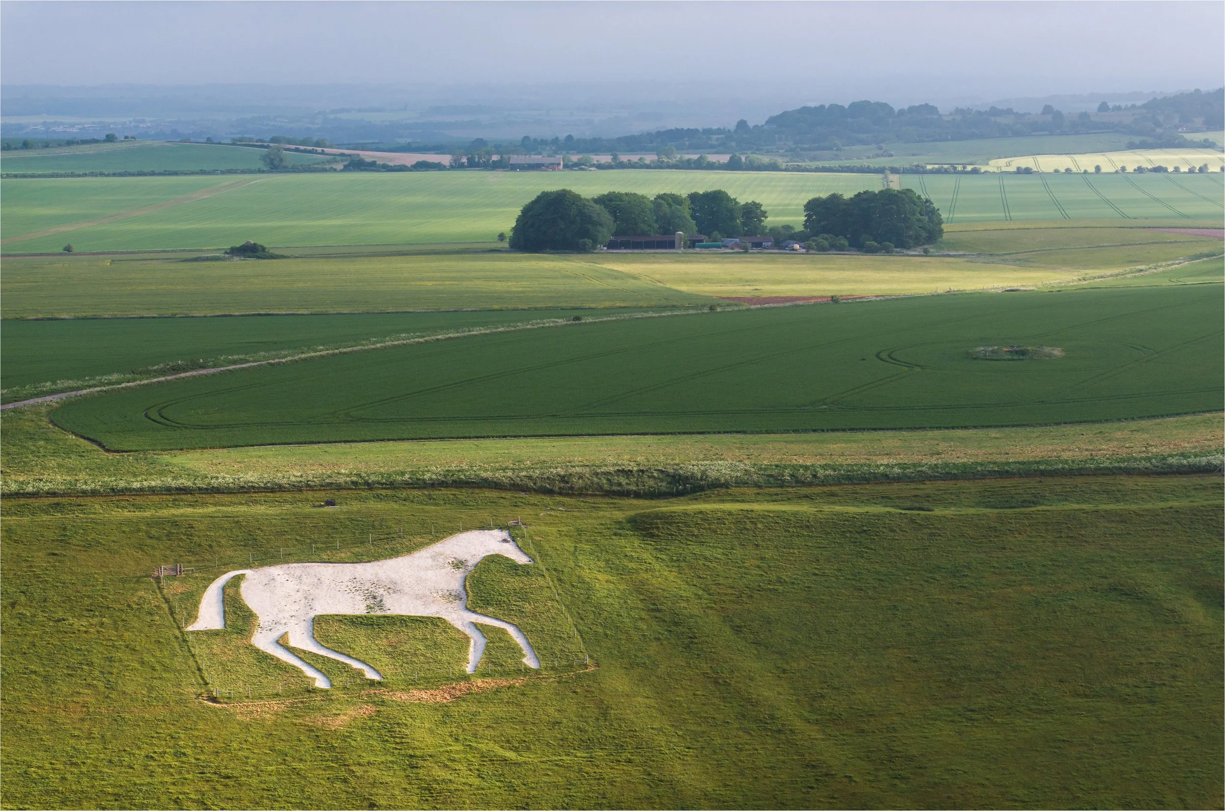 Devizes - The only horse facing right