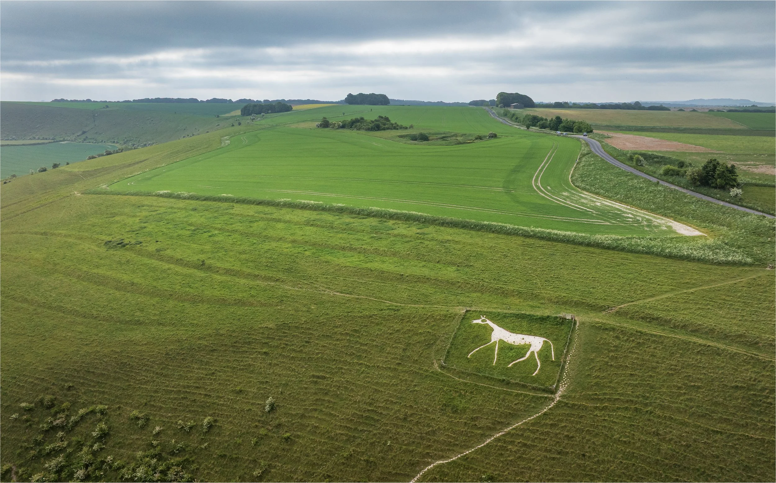 Pewsey Horse