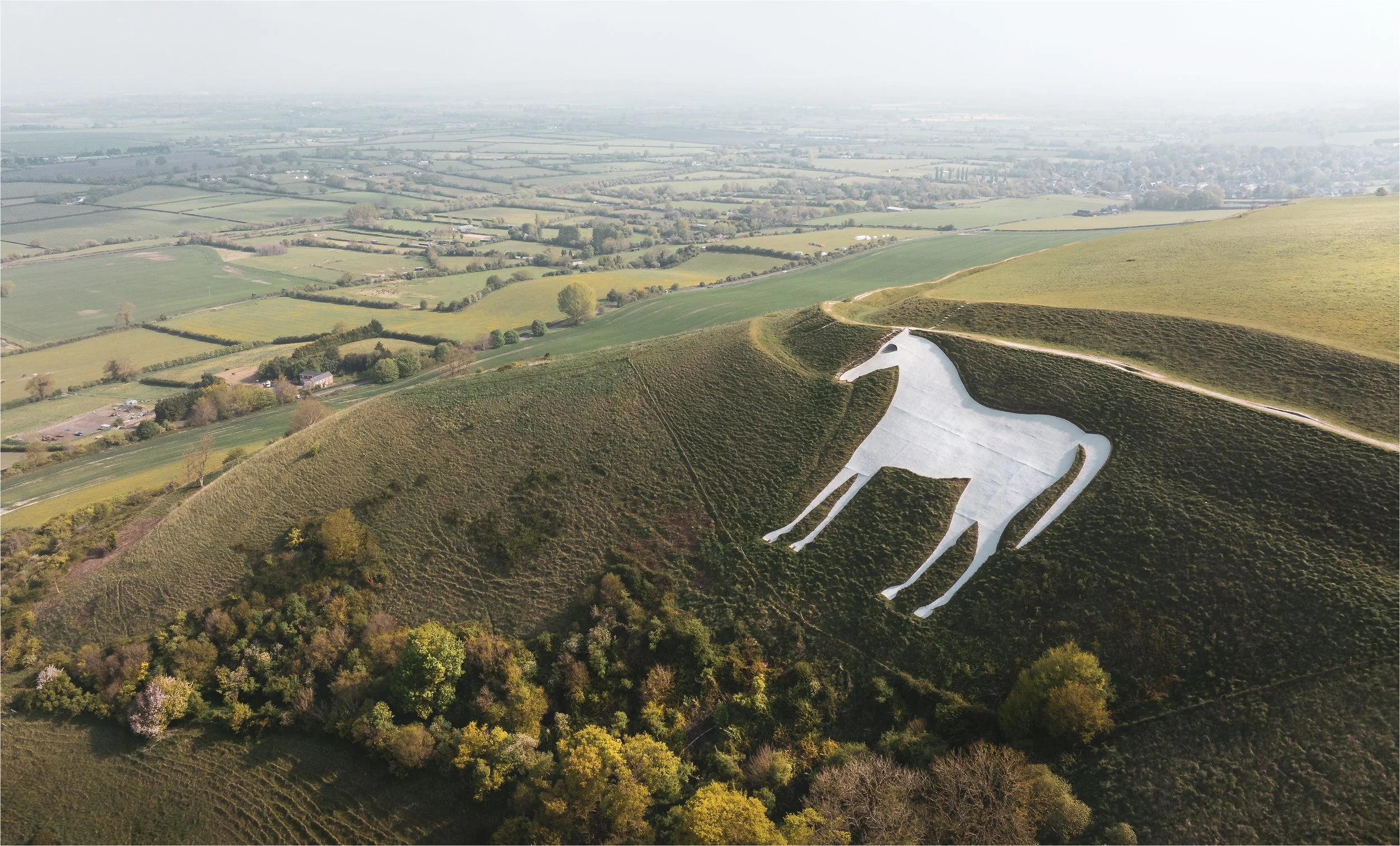Westbury Horse