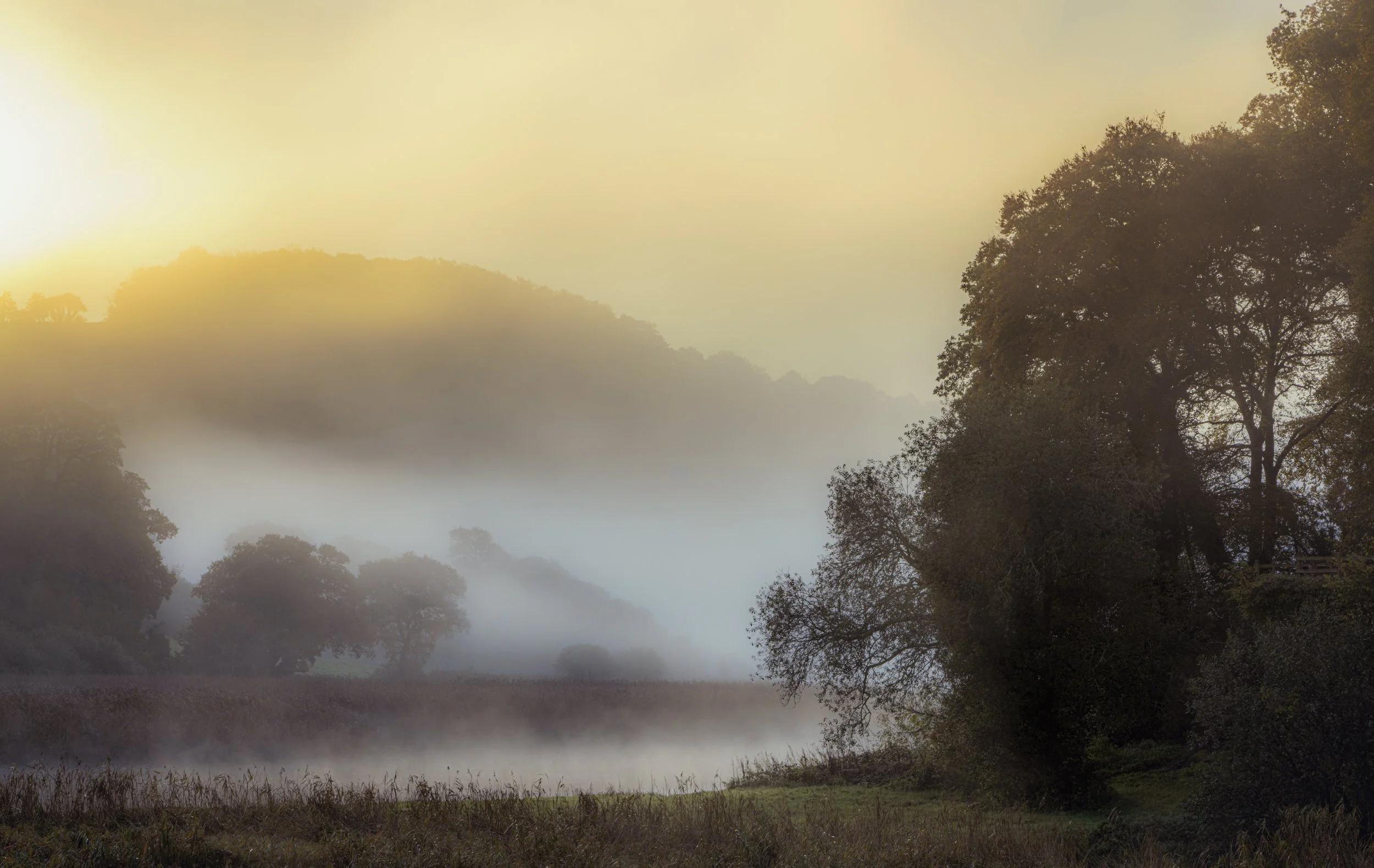 What? Cotehele Quay again?