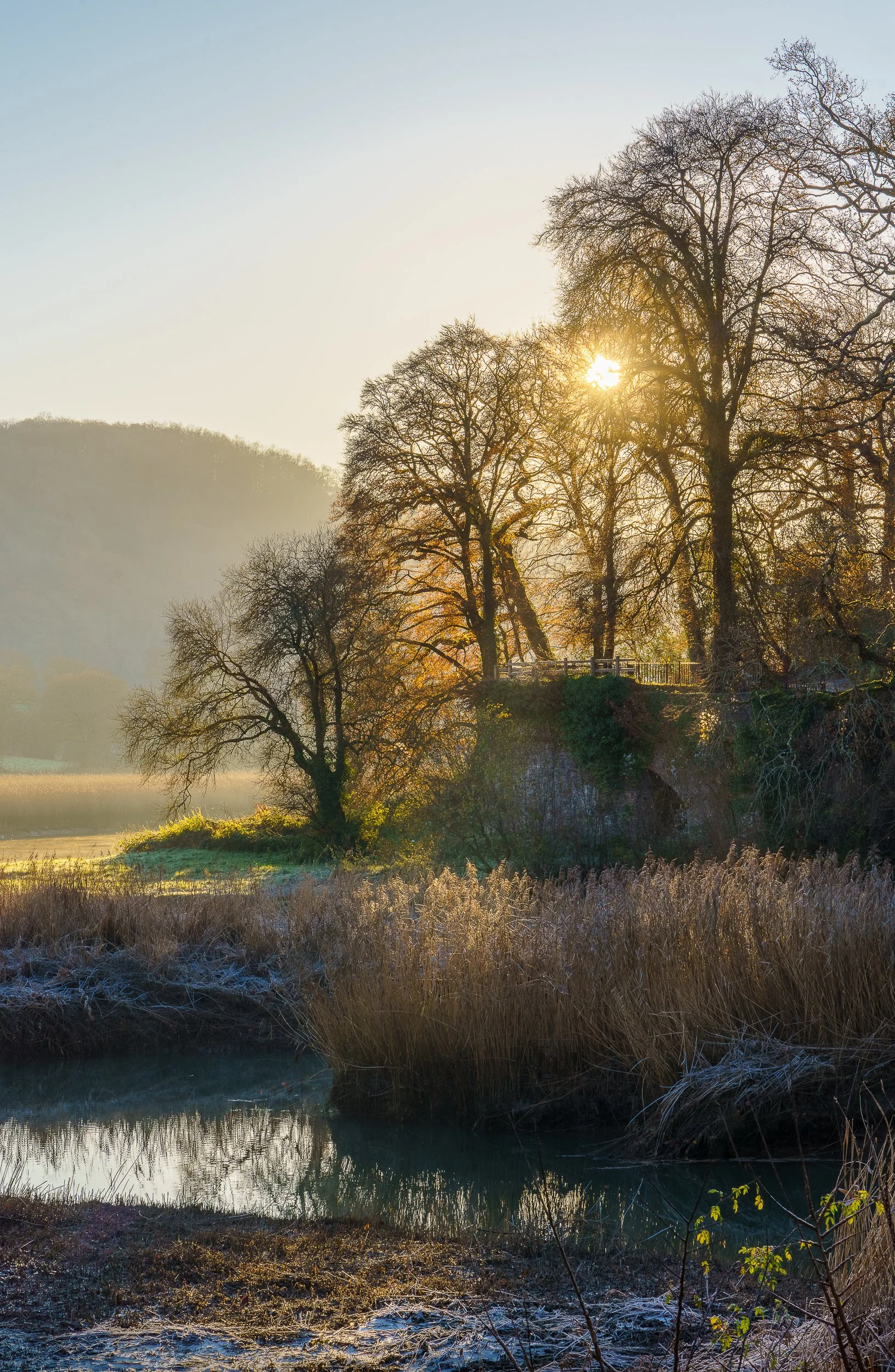 Cotehele Quay again...