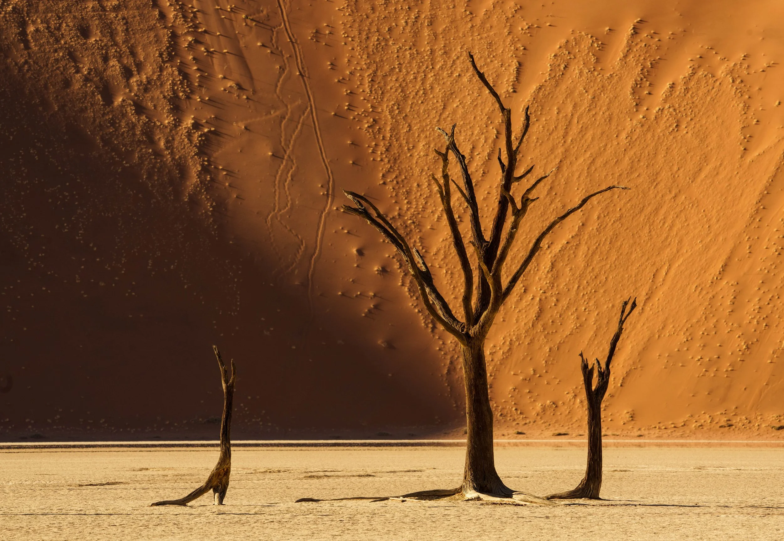 Deadvlei morning 134.jpg
