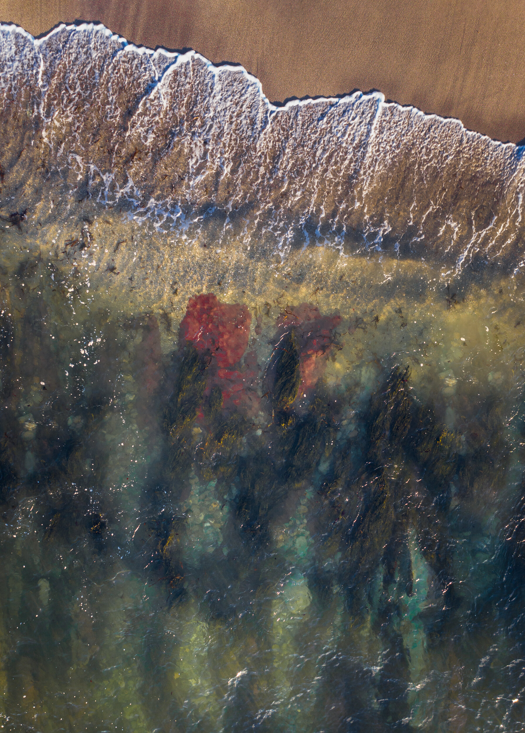 Drone image along finneygook beach 01