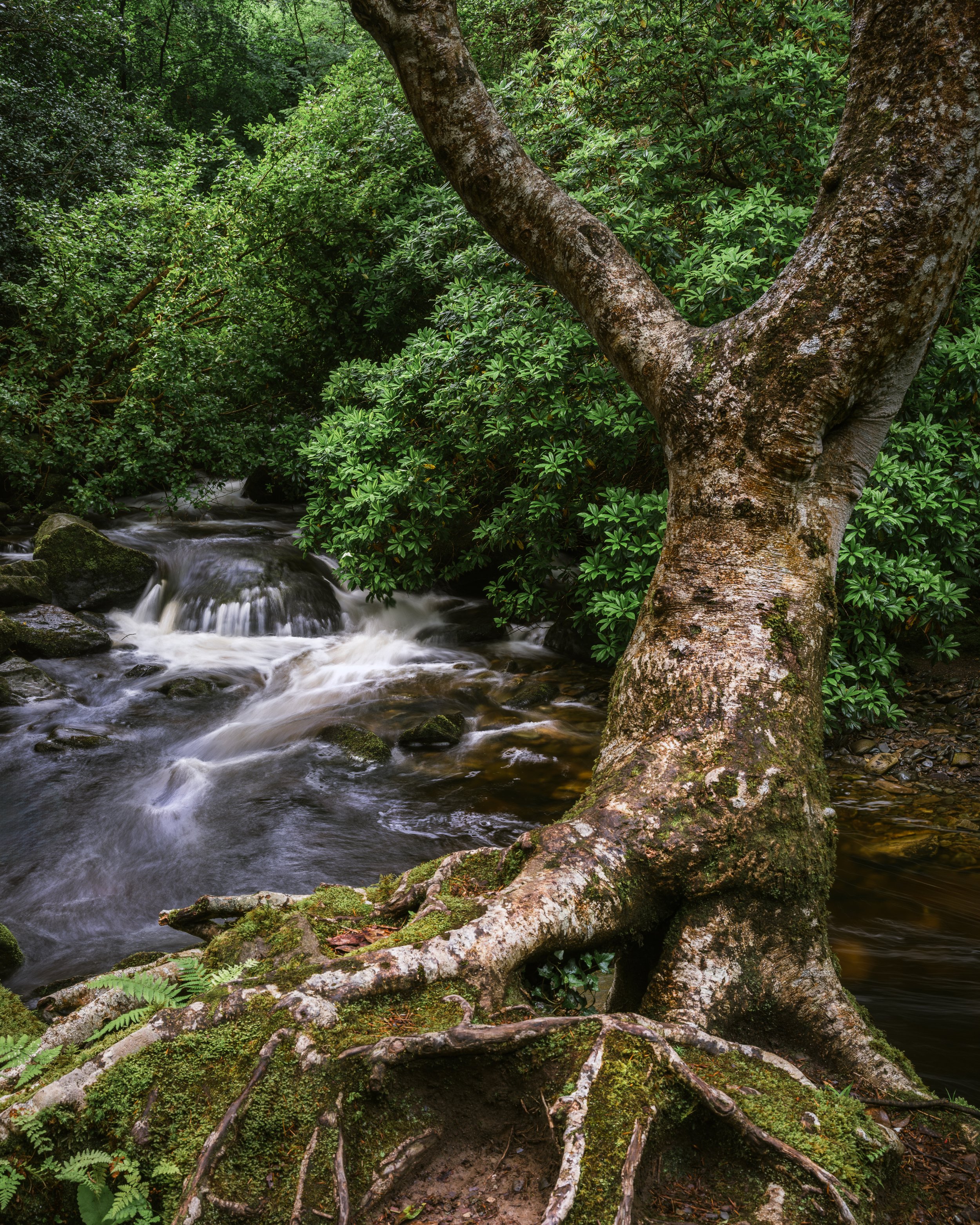 Torc Waterfall 116-HDR-Edit.jpg