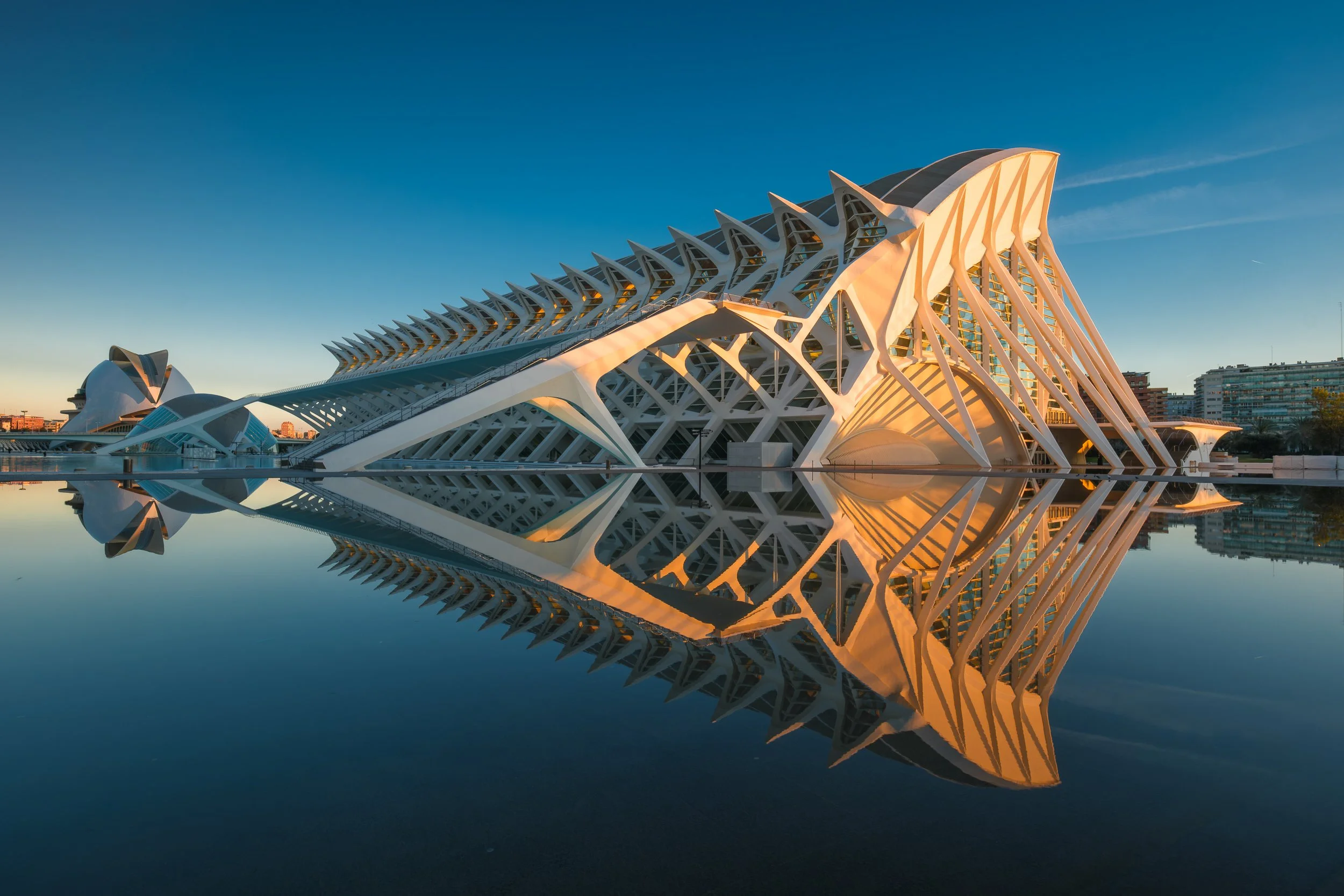 Museu de les Ciències, Valencia
