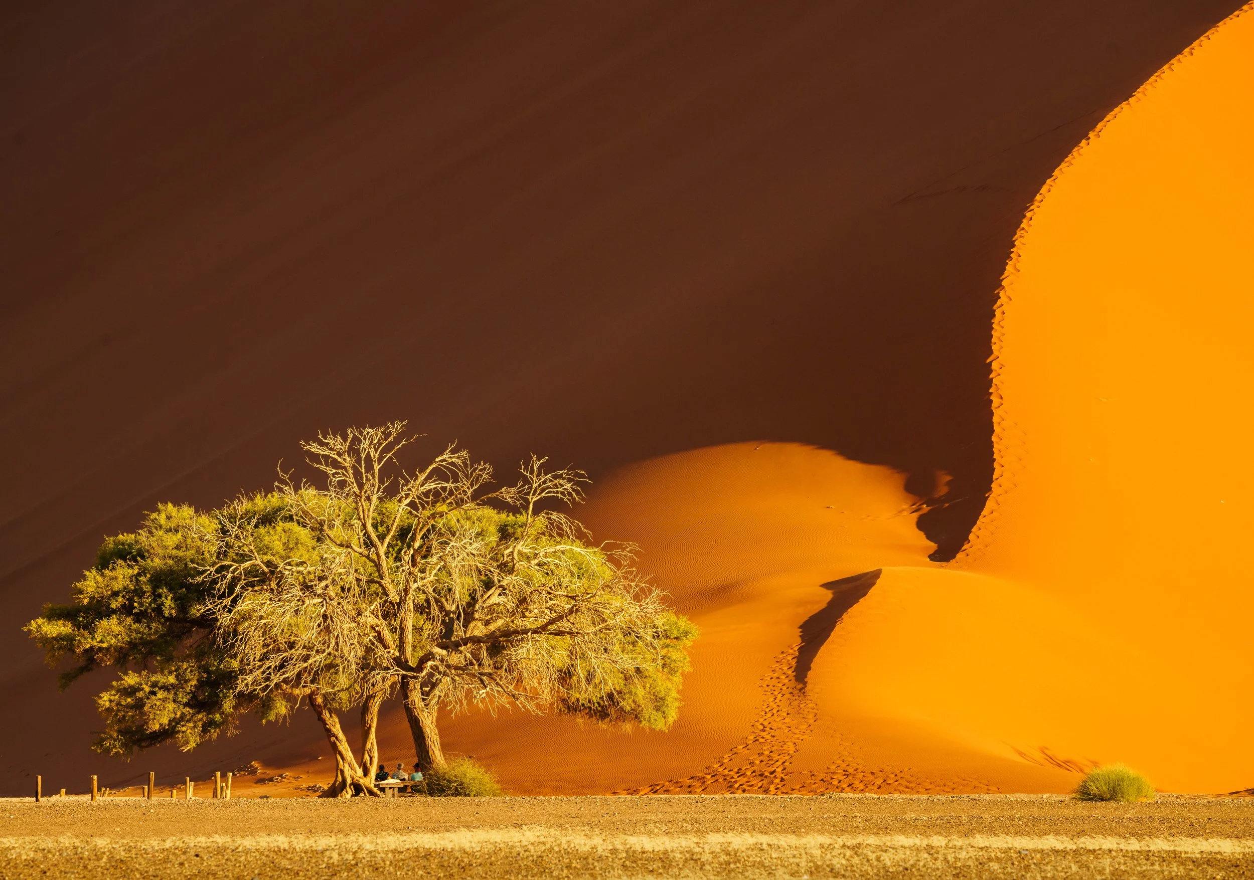 On the road to Deadvlie111-Edit.jpg