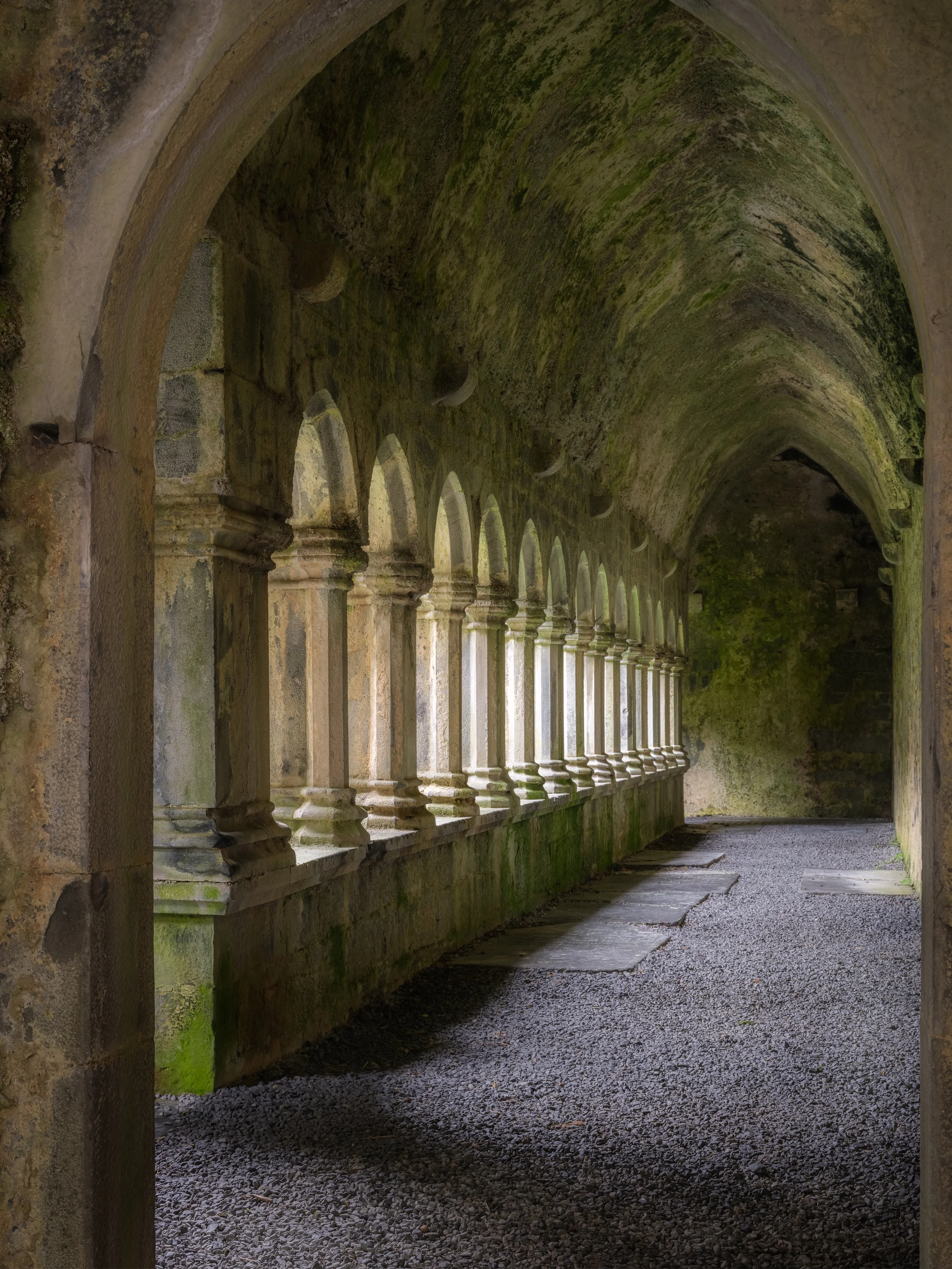 Quin Friary 31-HDR-Edit.jpg