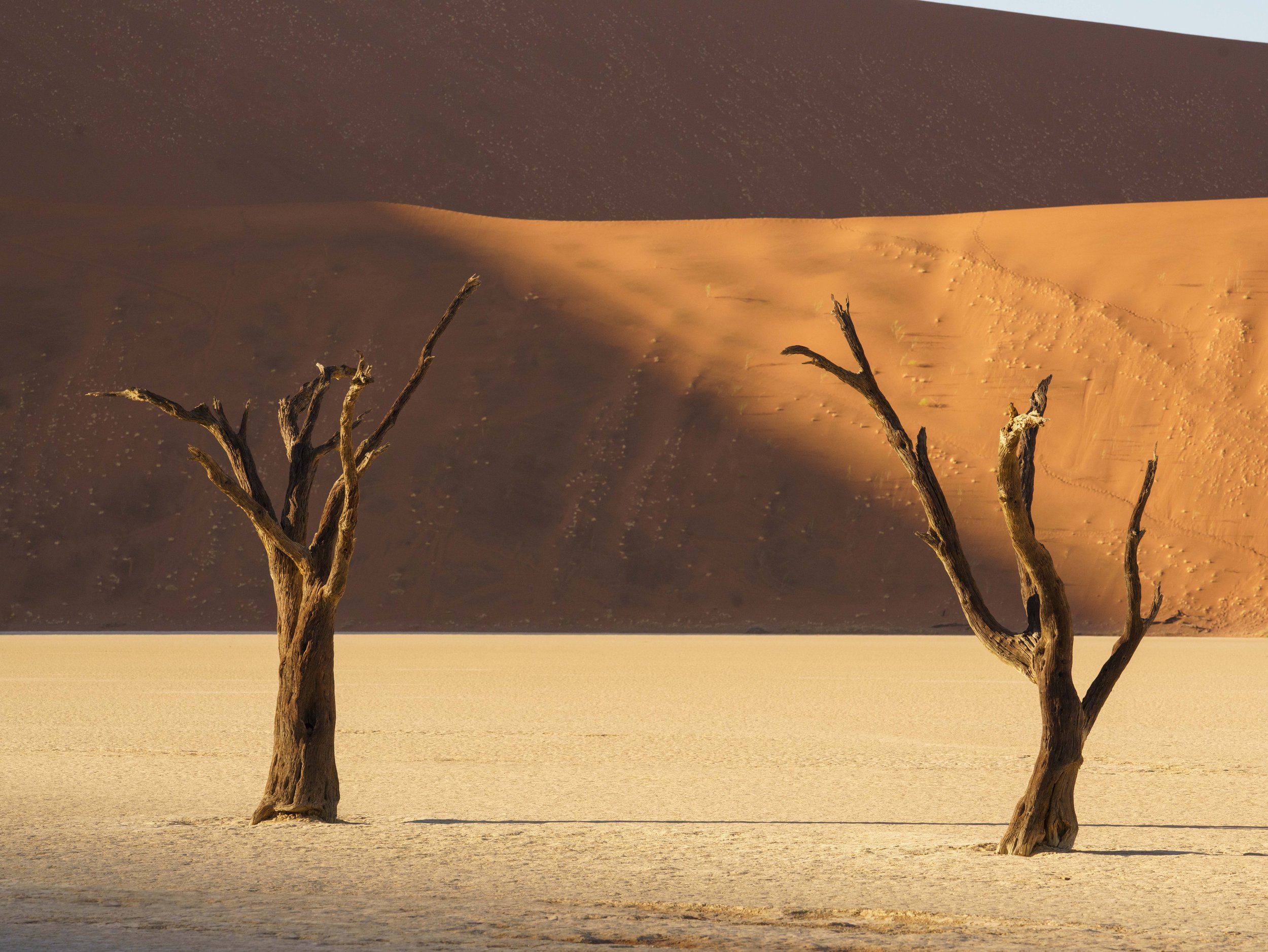 Deadvlei morning 84.jpg
