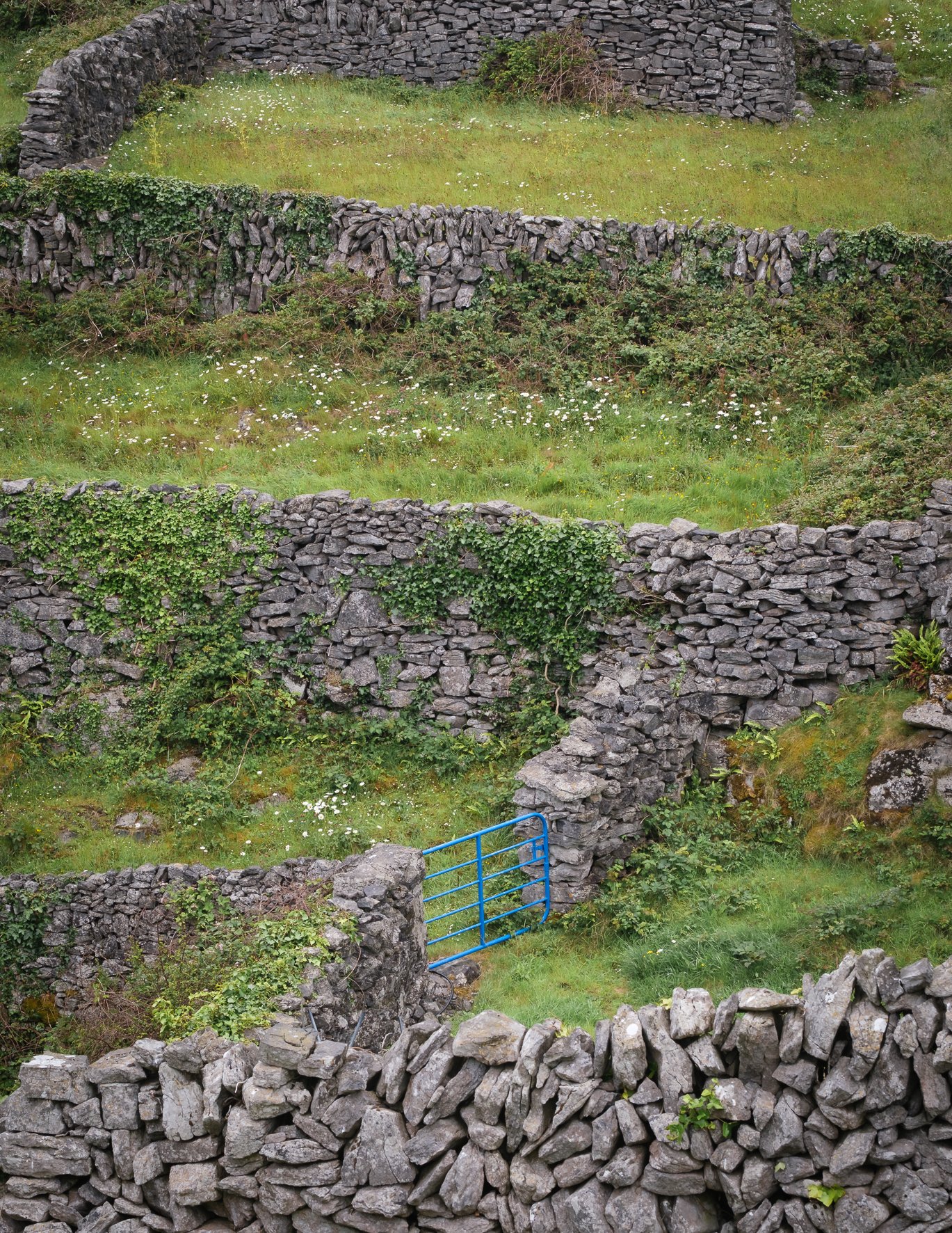 Inisheer views 31.jpg