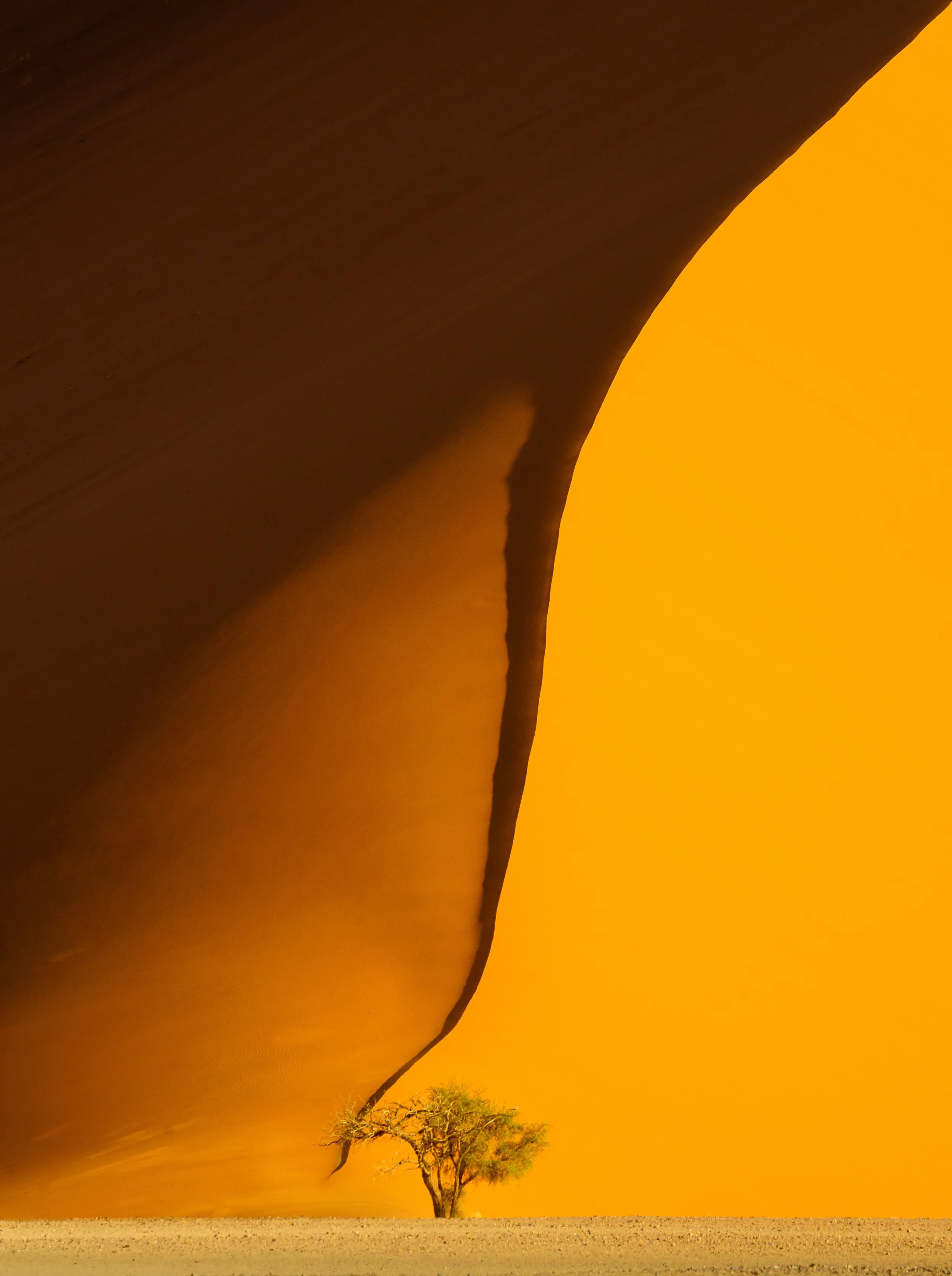 On the road to Deadvlie85-Edit.jpg