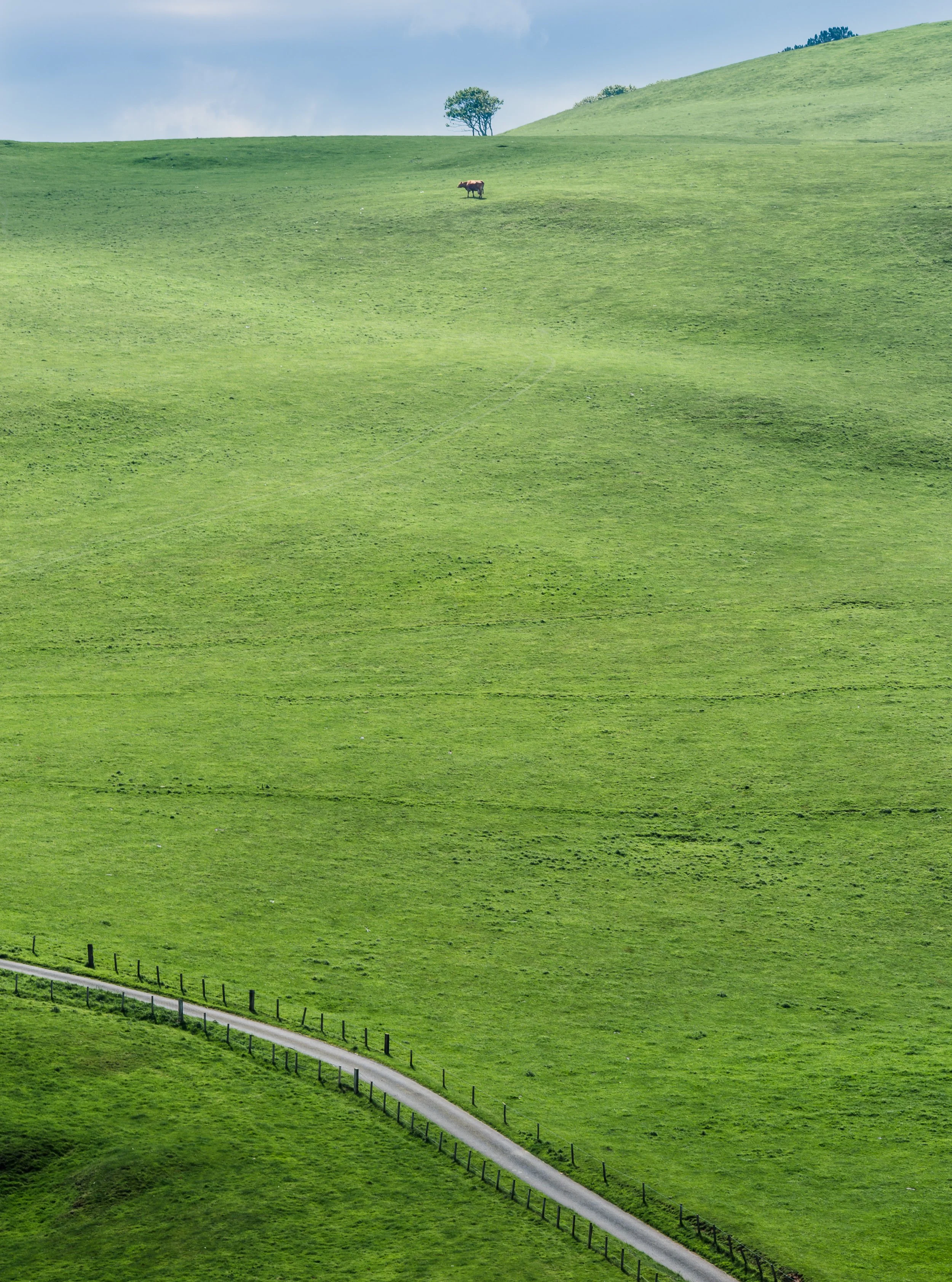 _TST7759-Edit.jpg