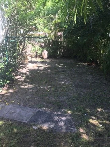 1000032804.jpg