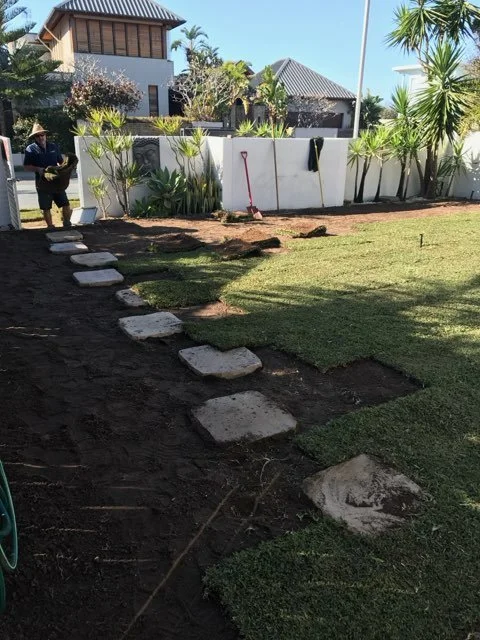 1000032807.jpg