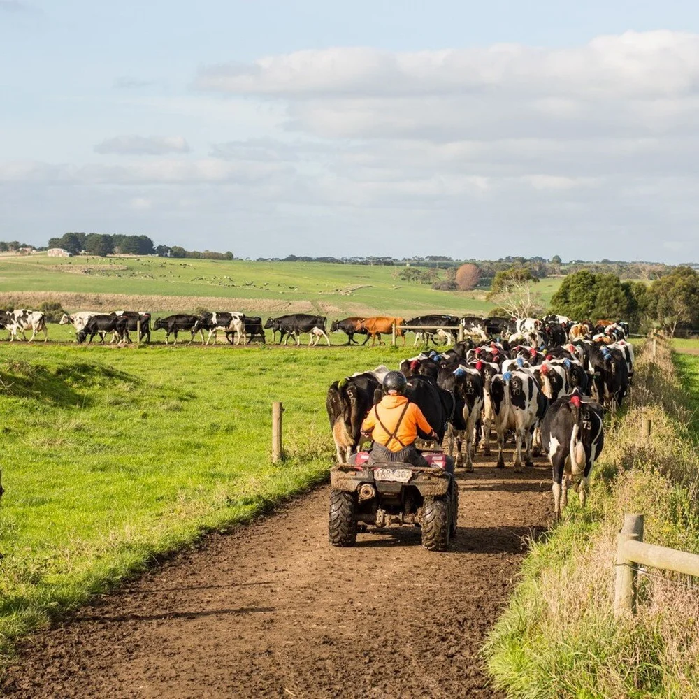 Schulz Organic Creamery & Cafe